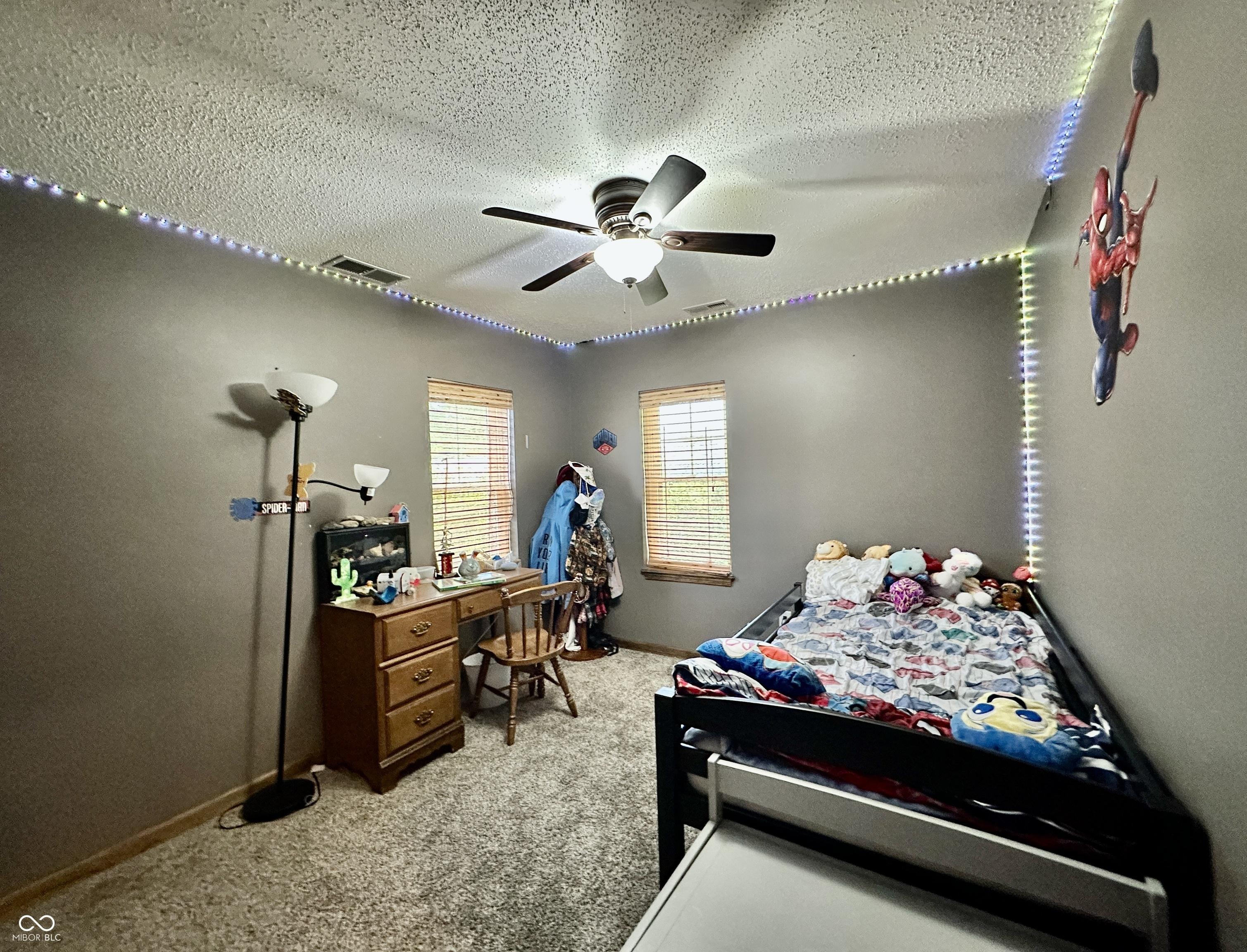 Photo #37