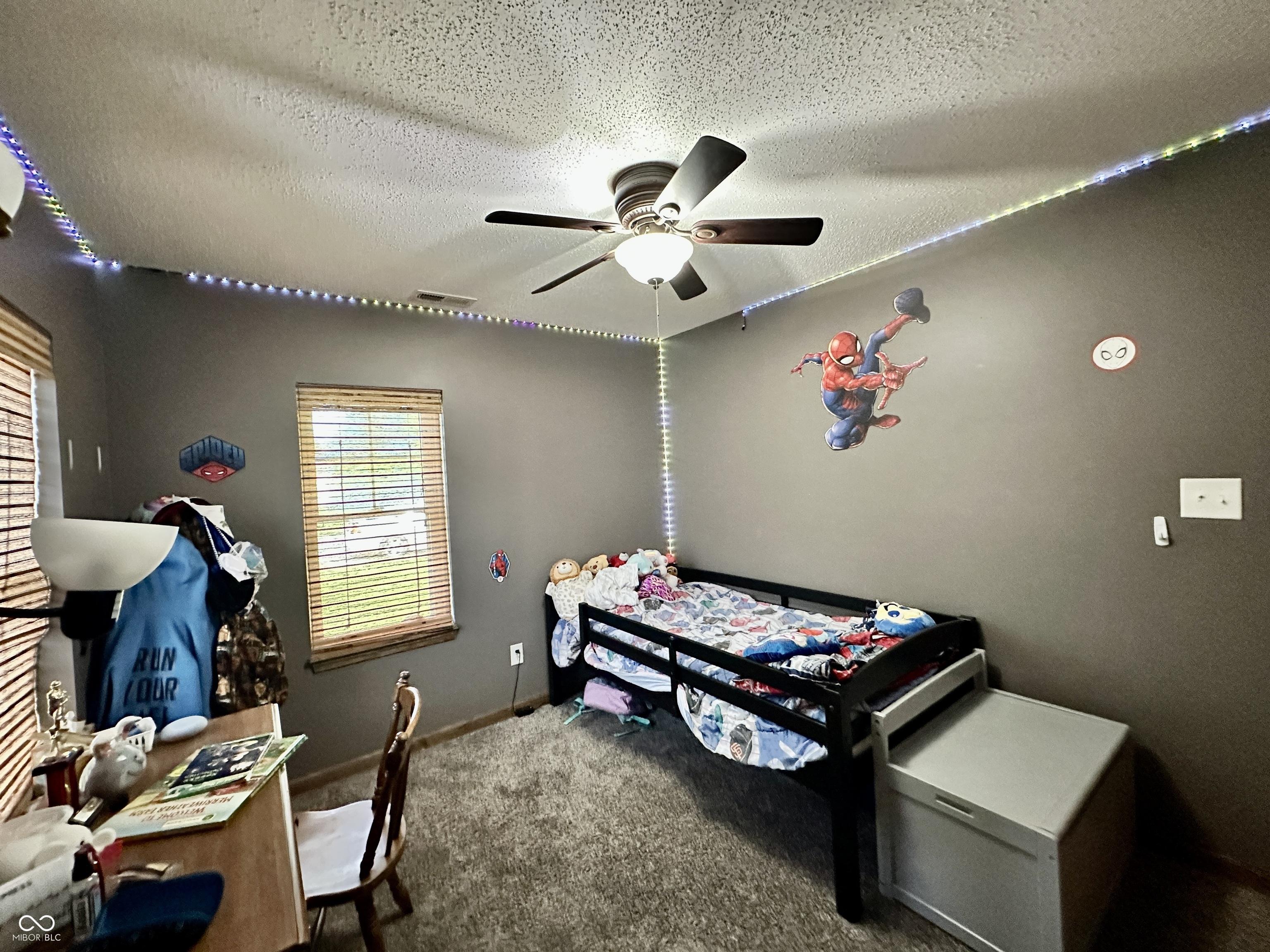Photo #17