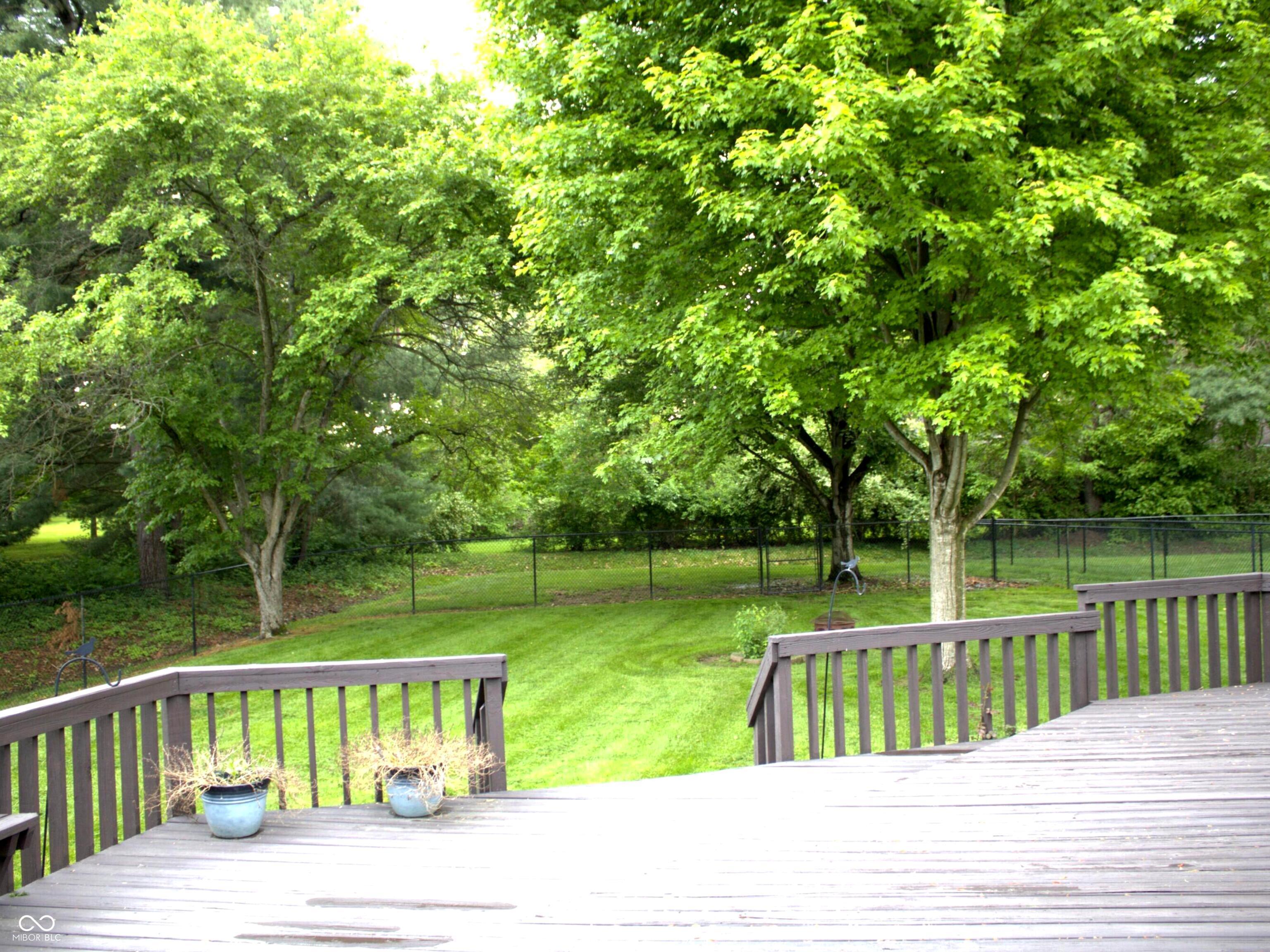 Photo #2