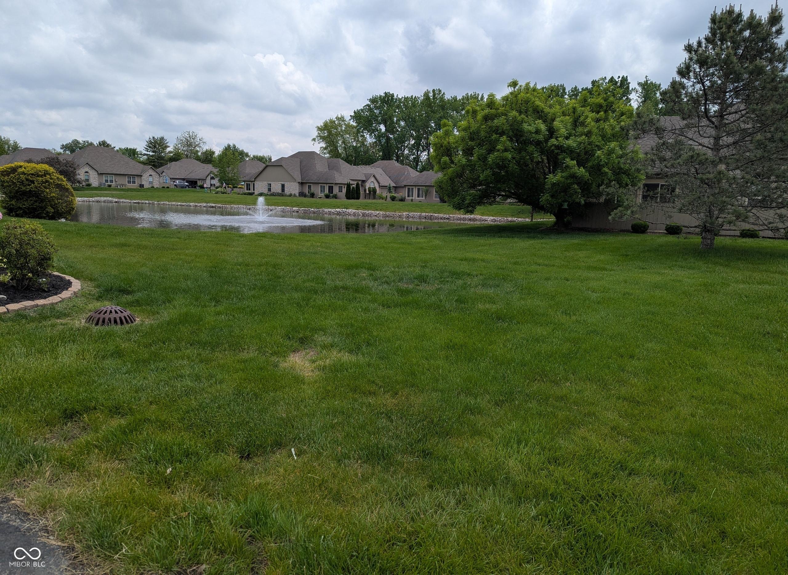 Photo #21