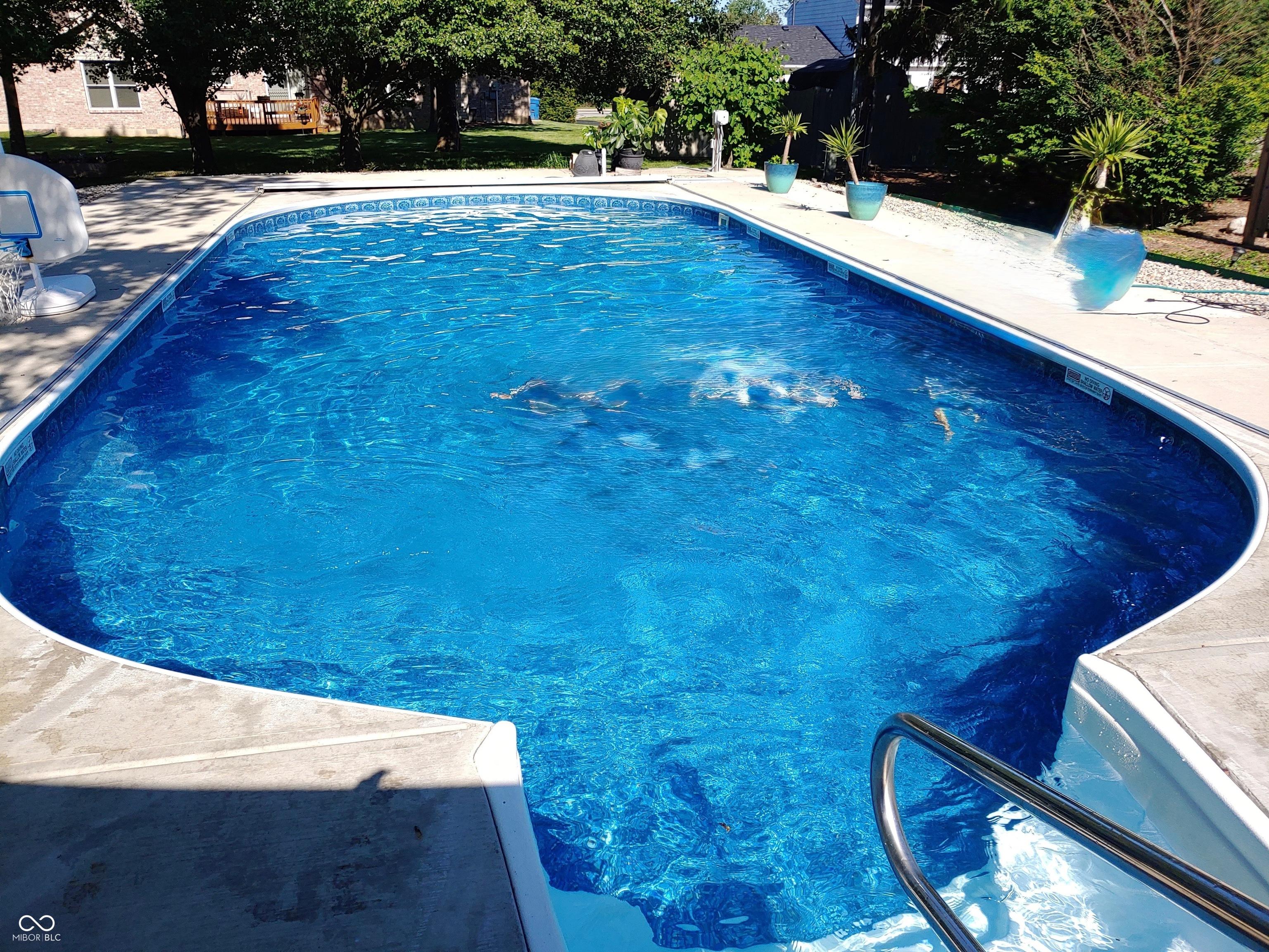 Photo #31
