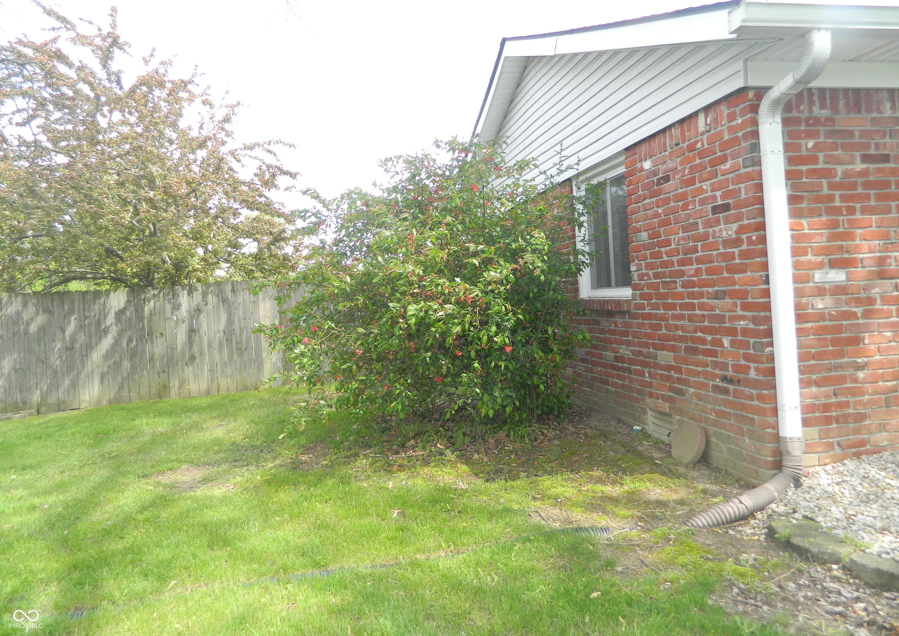 Photo #62