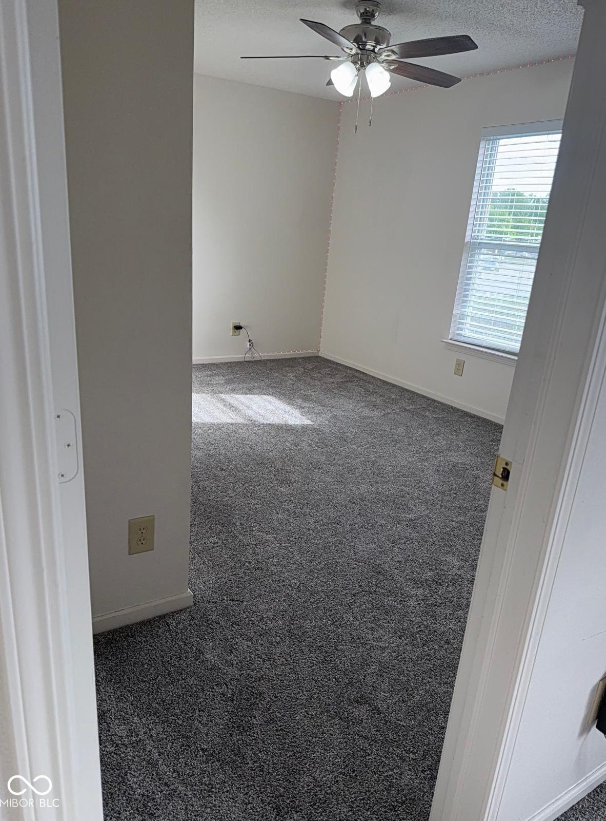 Photo #33