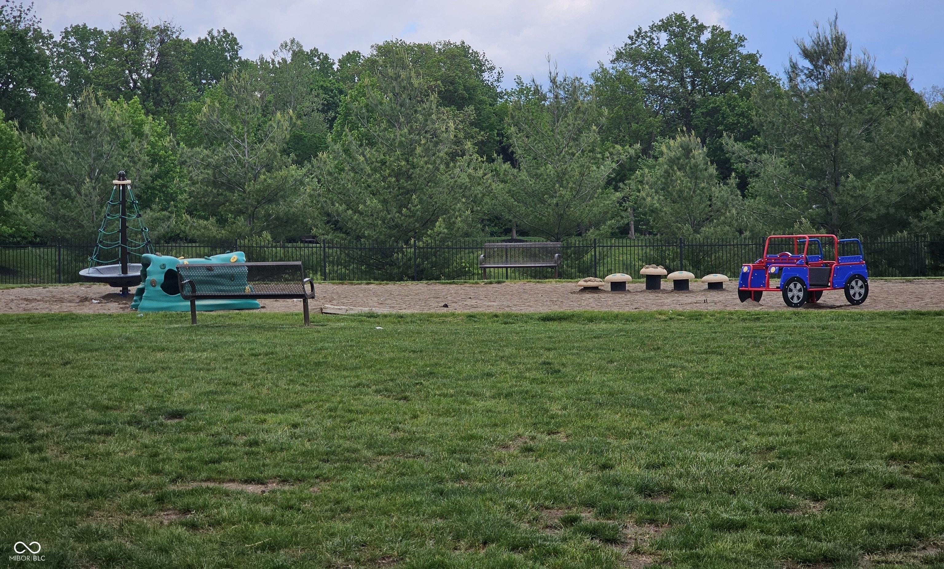 Photo #37