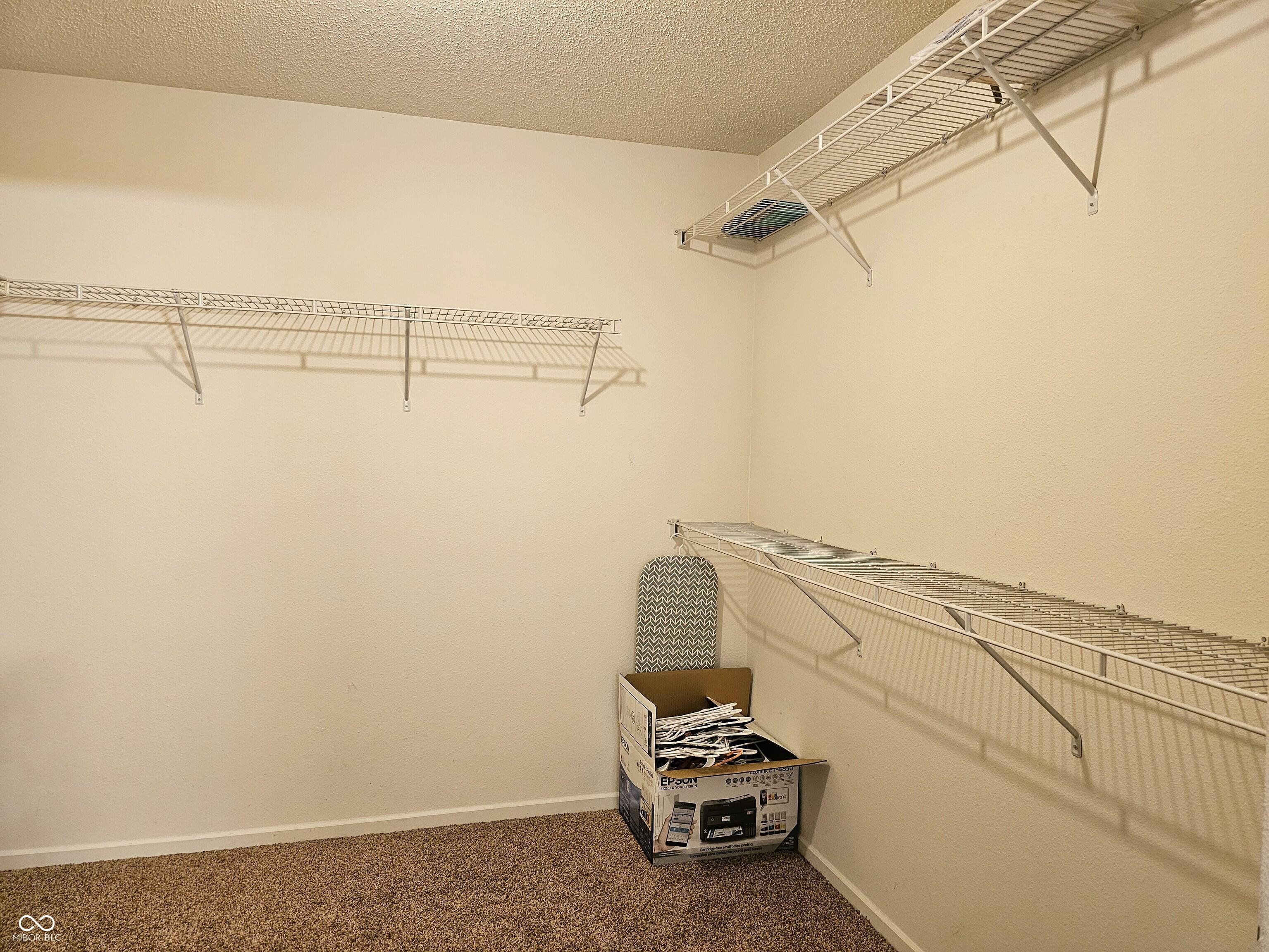 Photo #21
