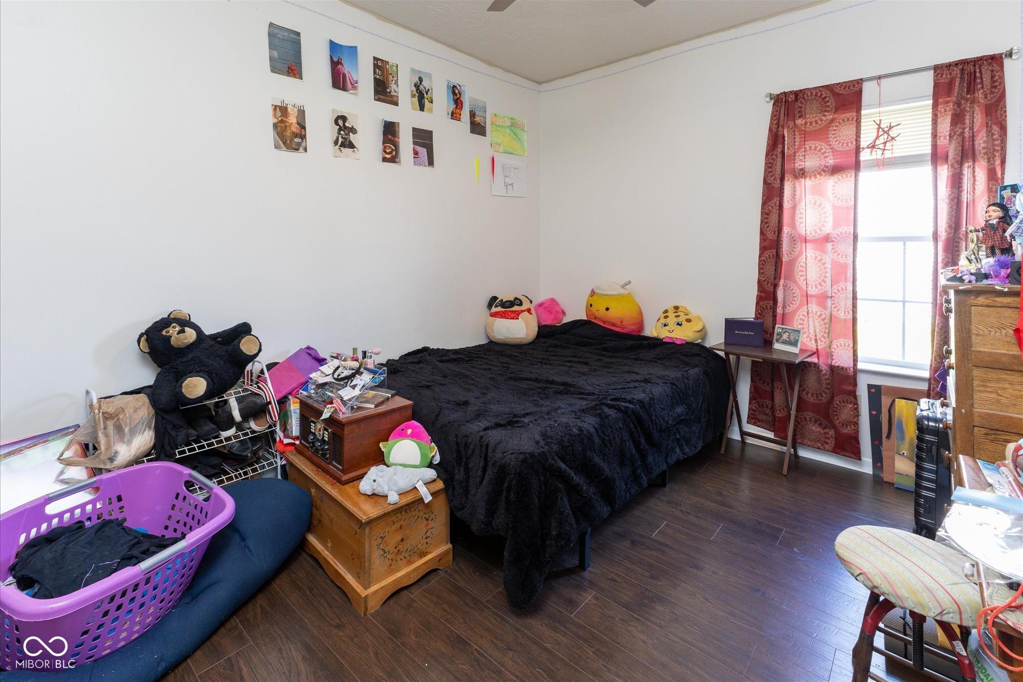Photo #11