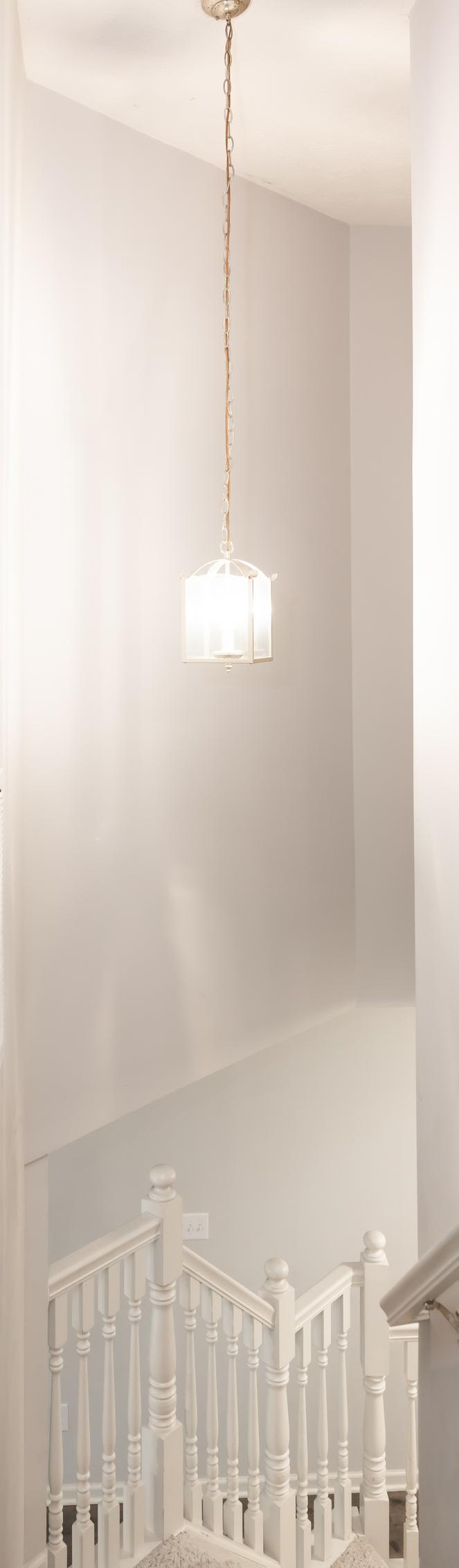 Photo #10