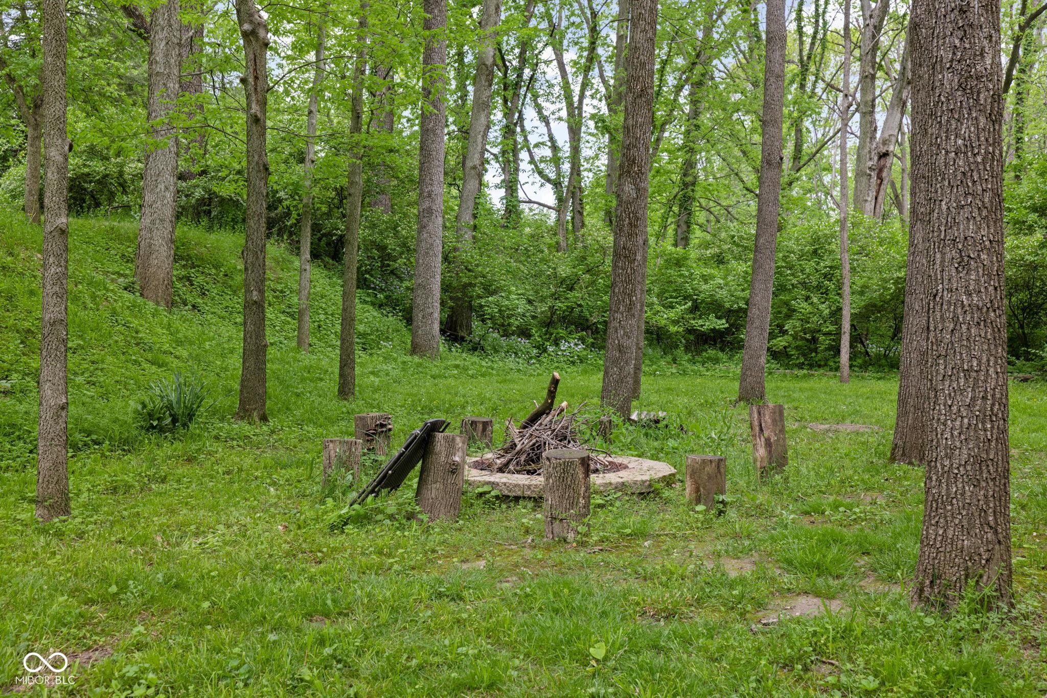 Photo #42