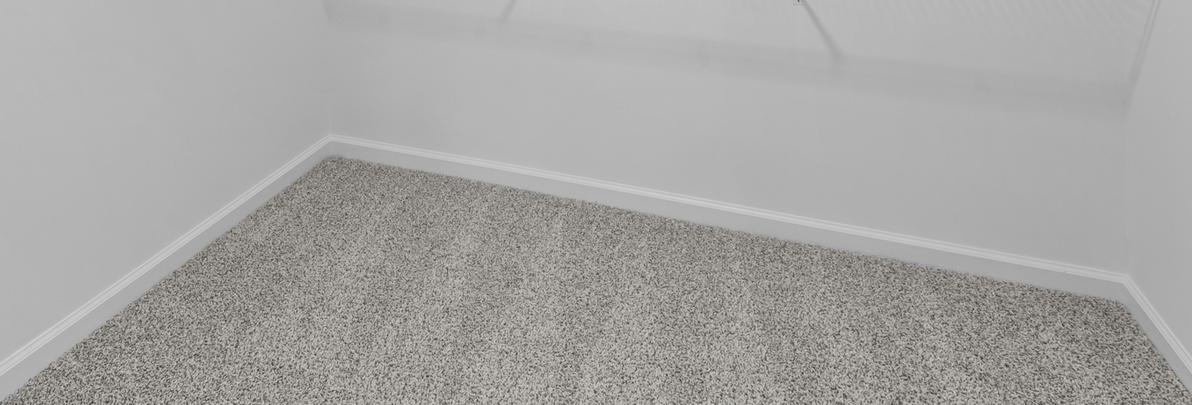 Photo #24