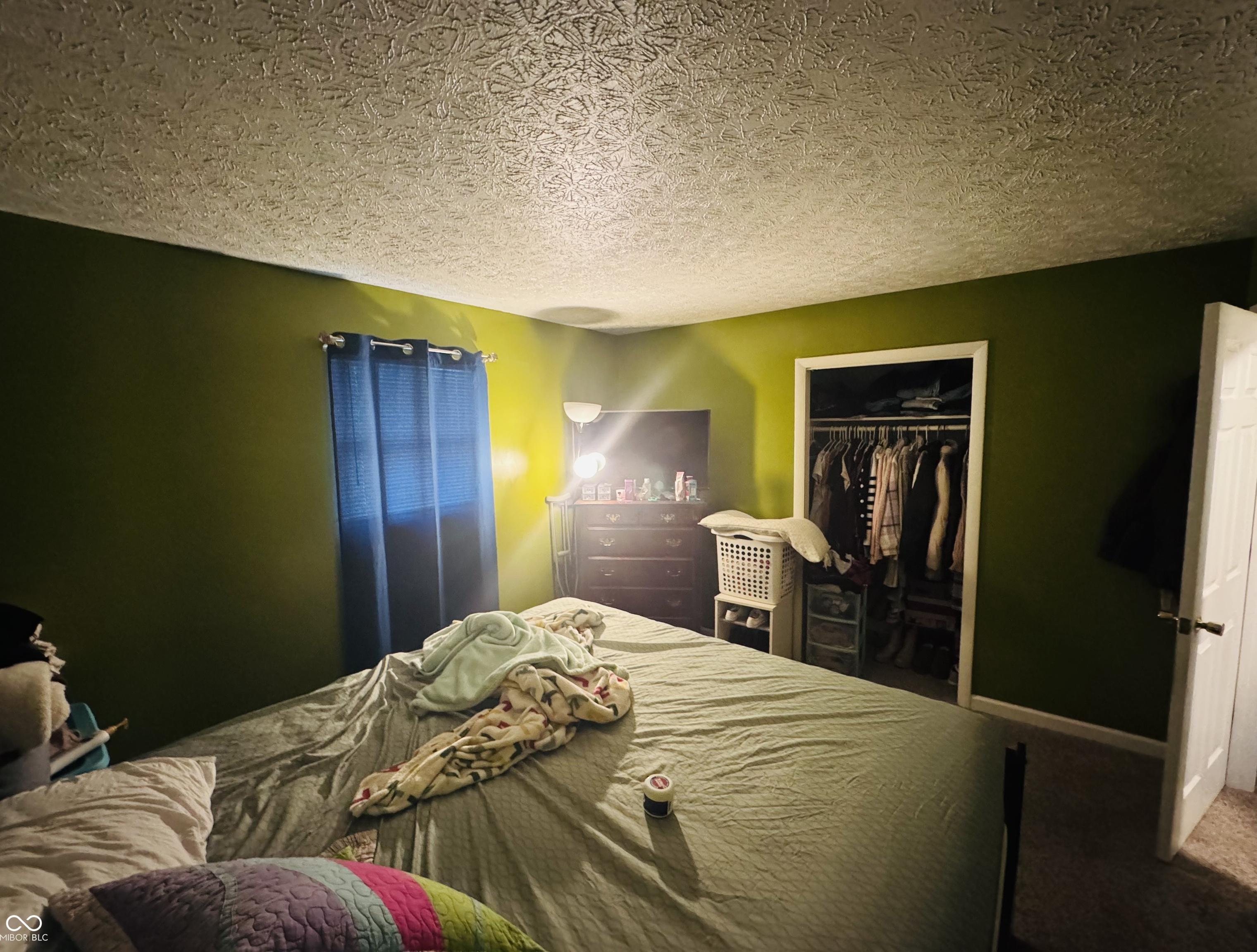 Photo #11