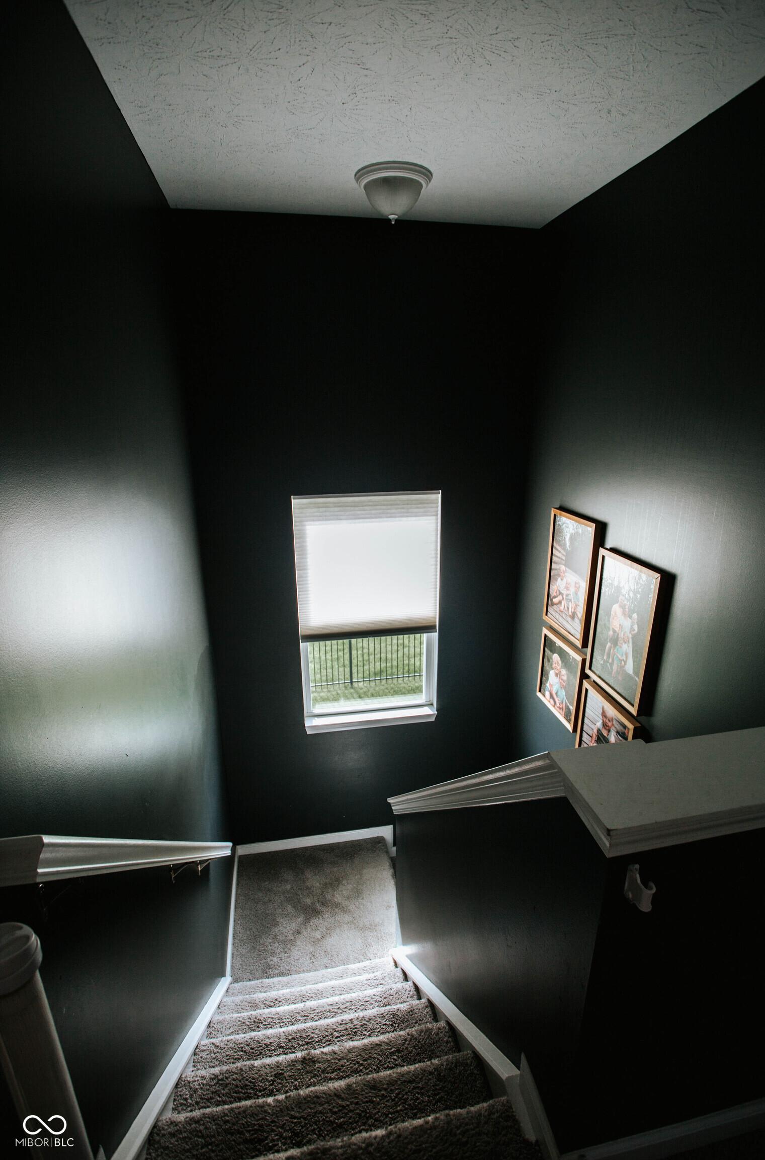 Photo #20