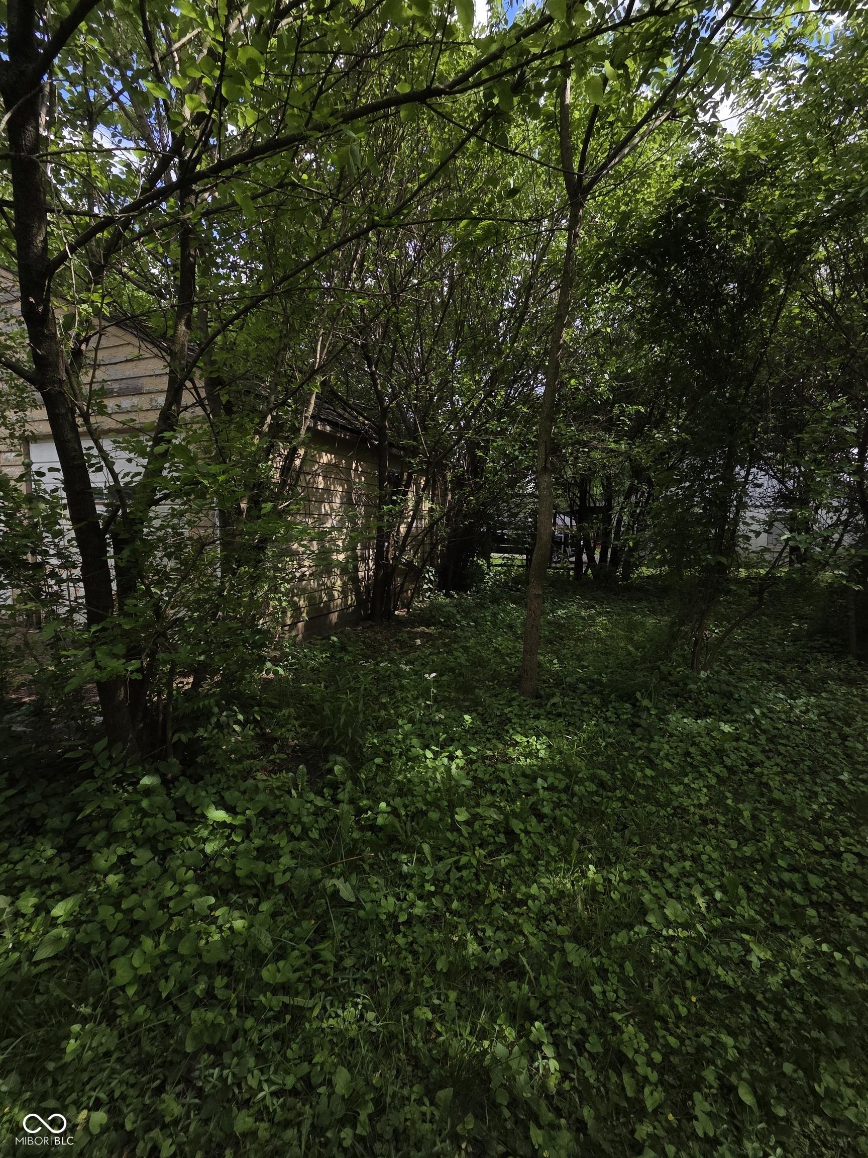 Photo #24
