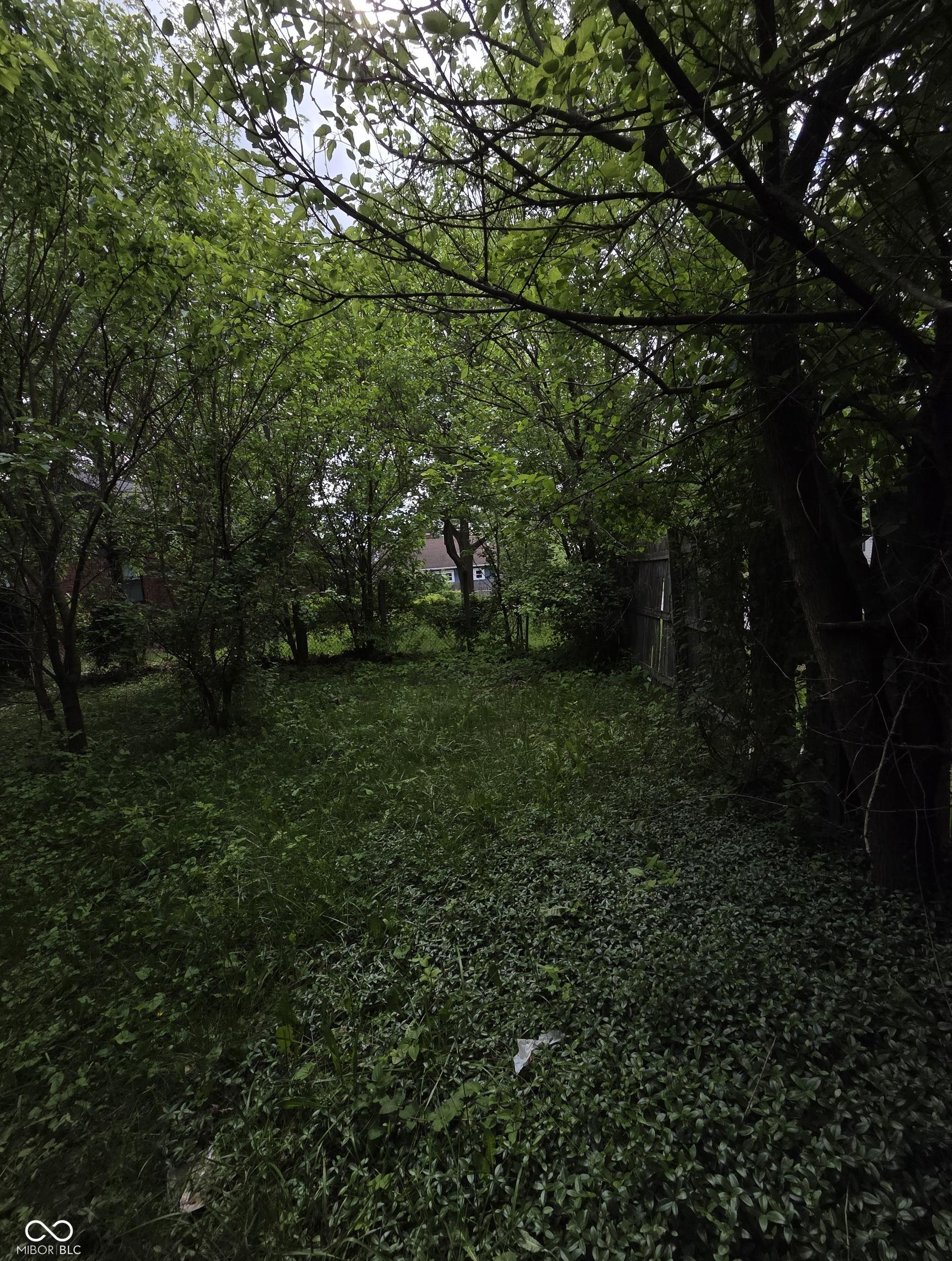 Photo #25