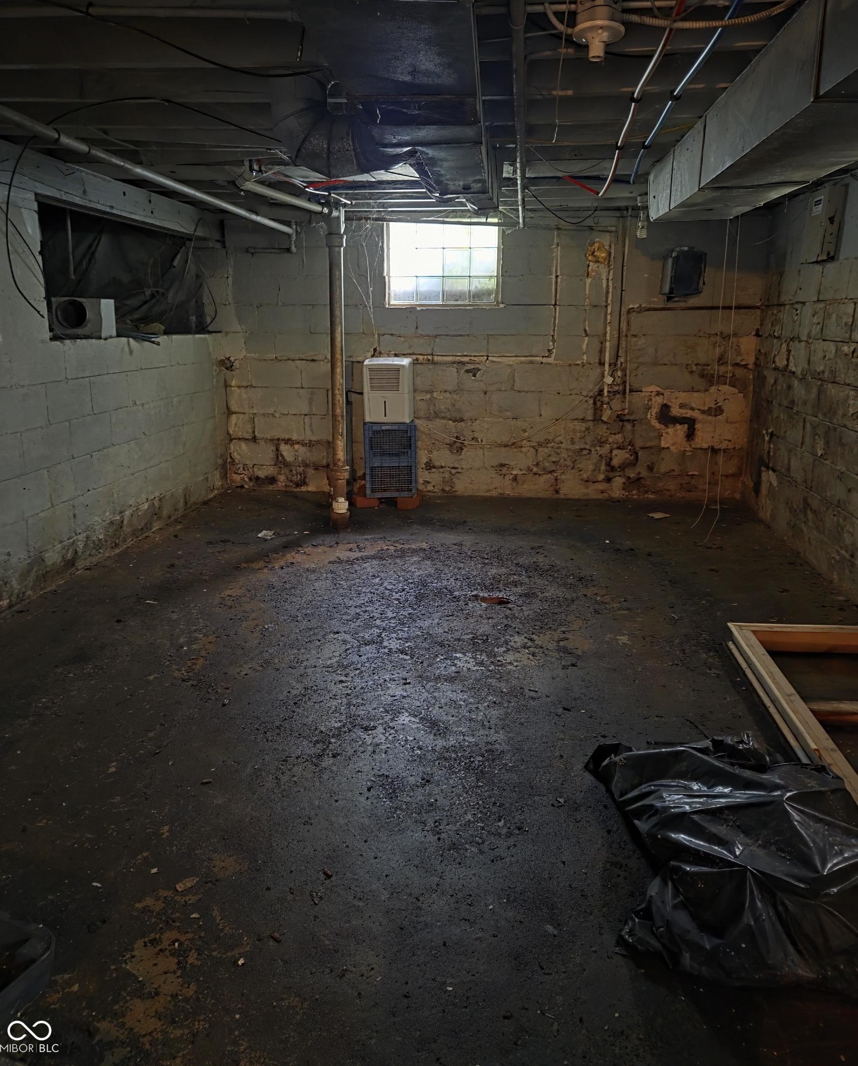 Photo #21