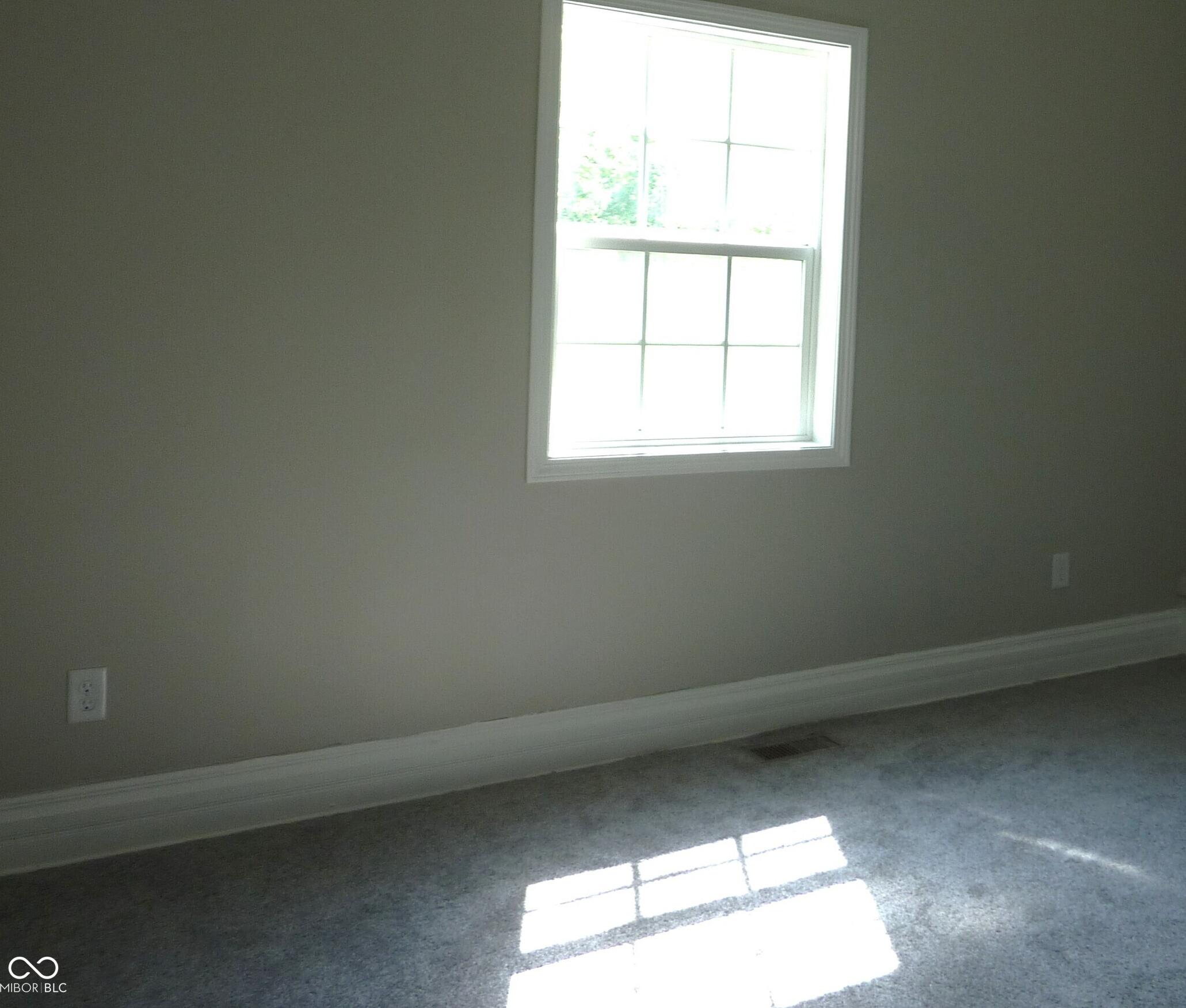 Photo #11