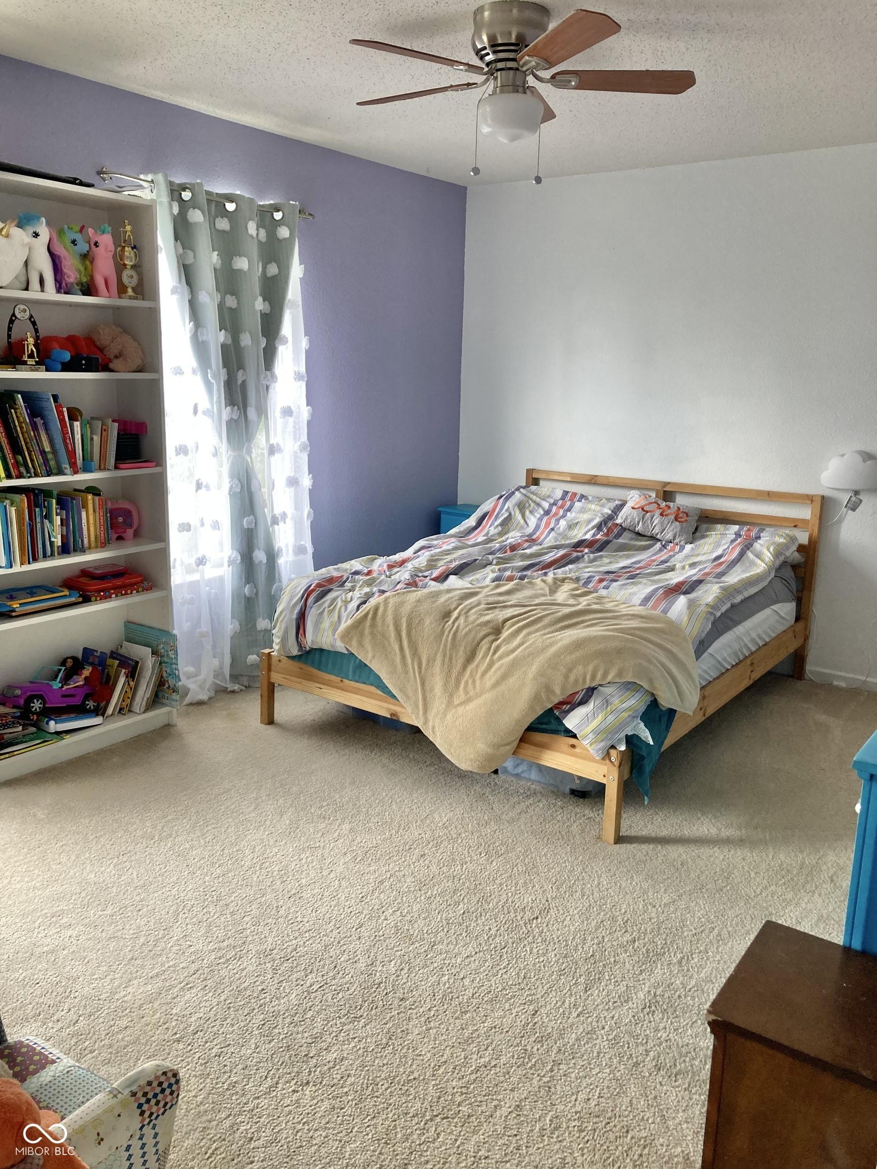 Photo #24