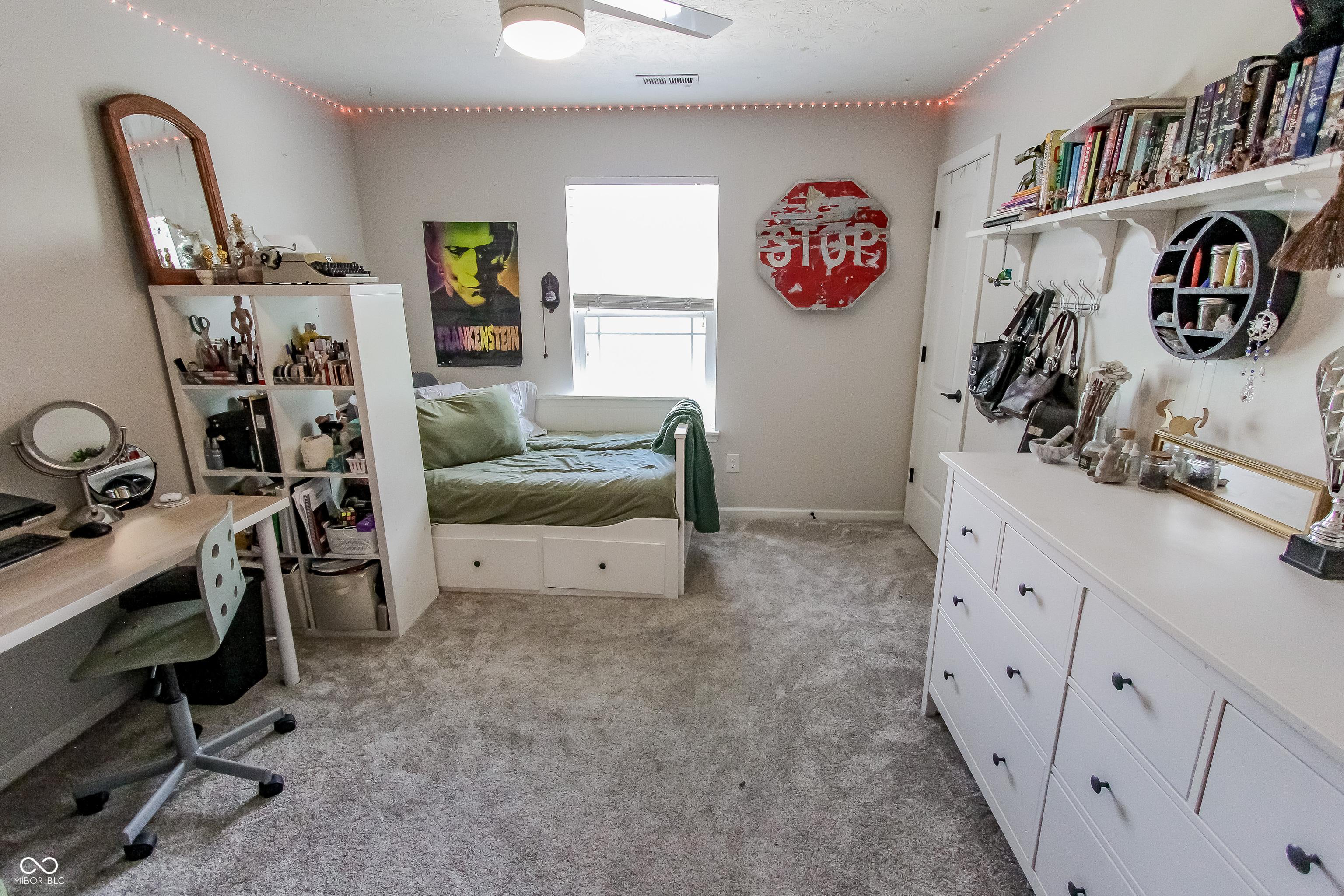 Photo #43