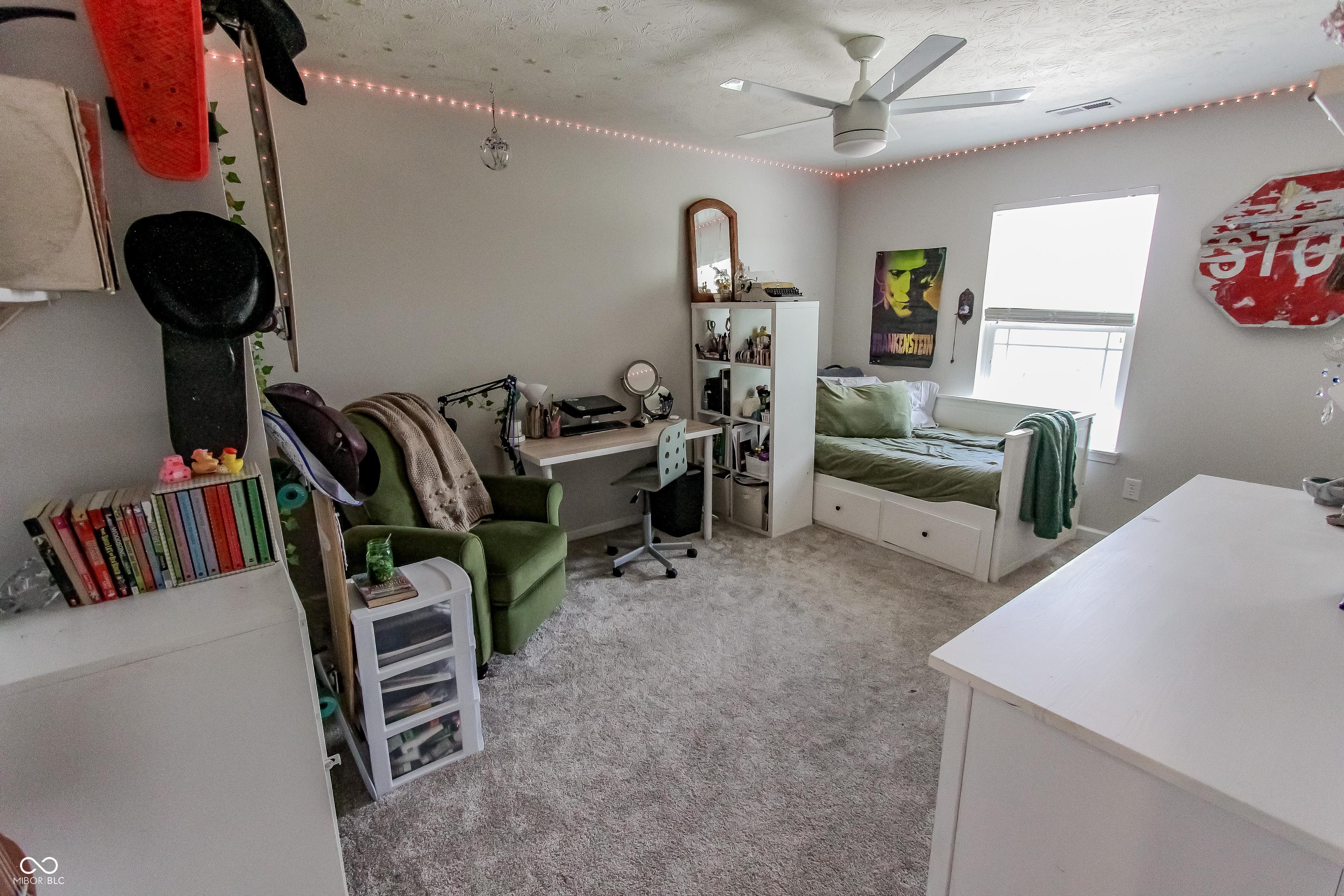 Photo #42