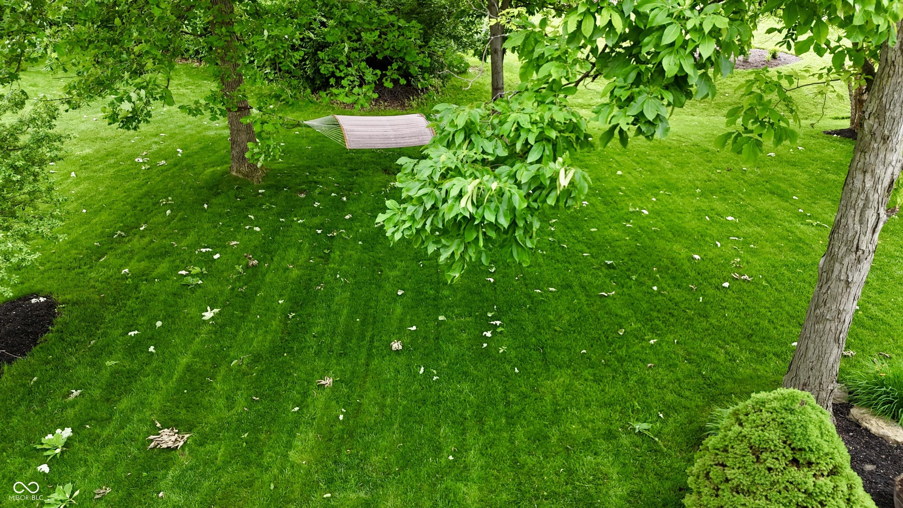 Photo #13