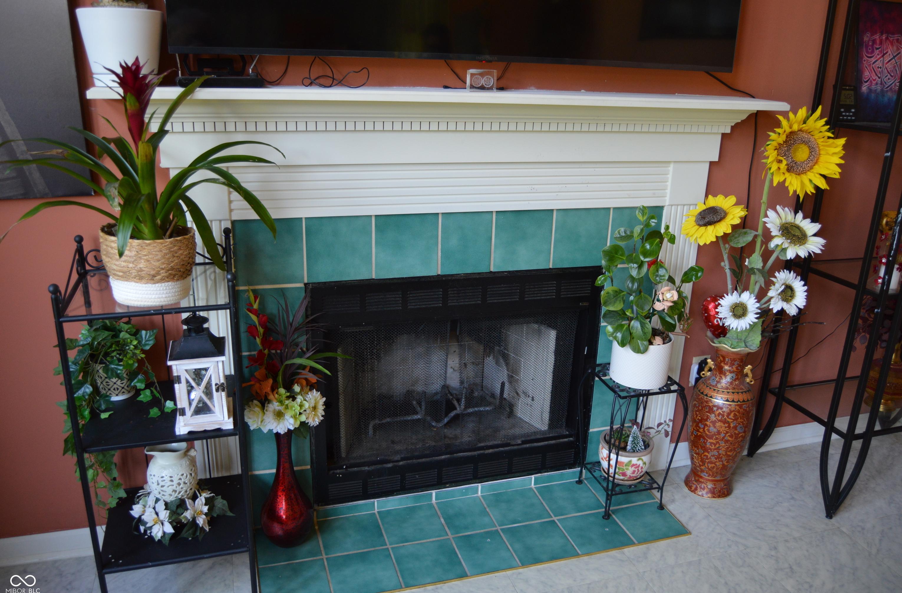 Photo #16