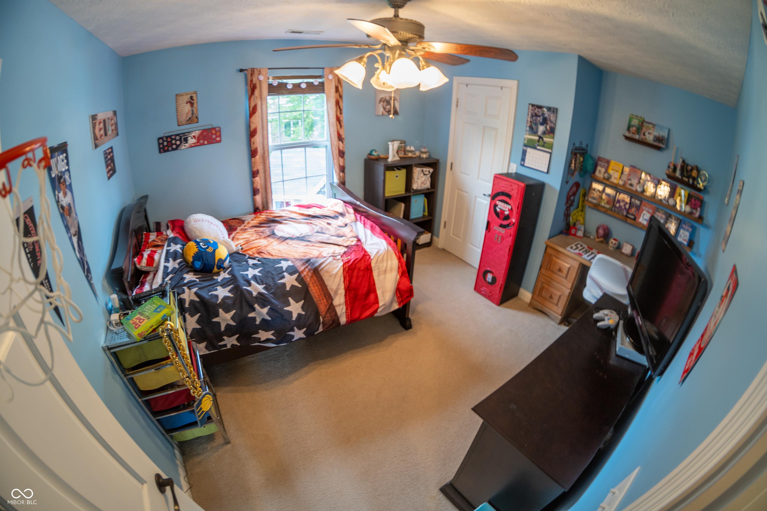 Photo #24