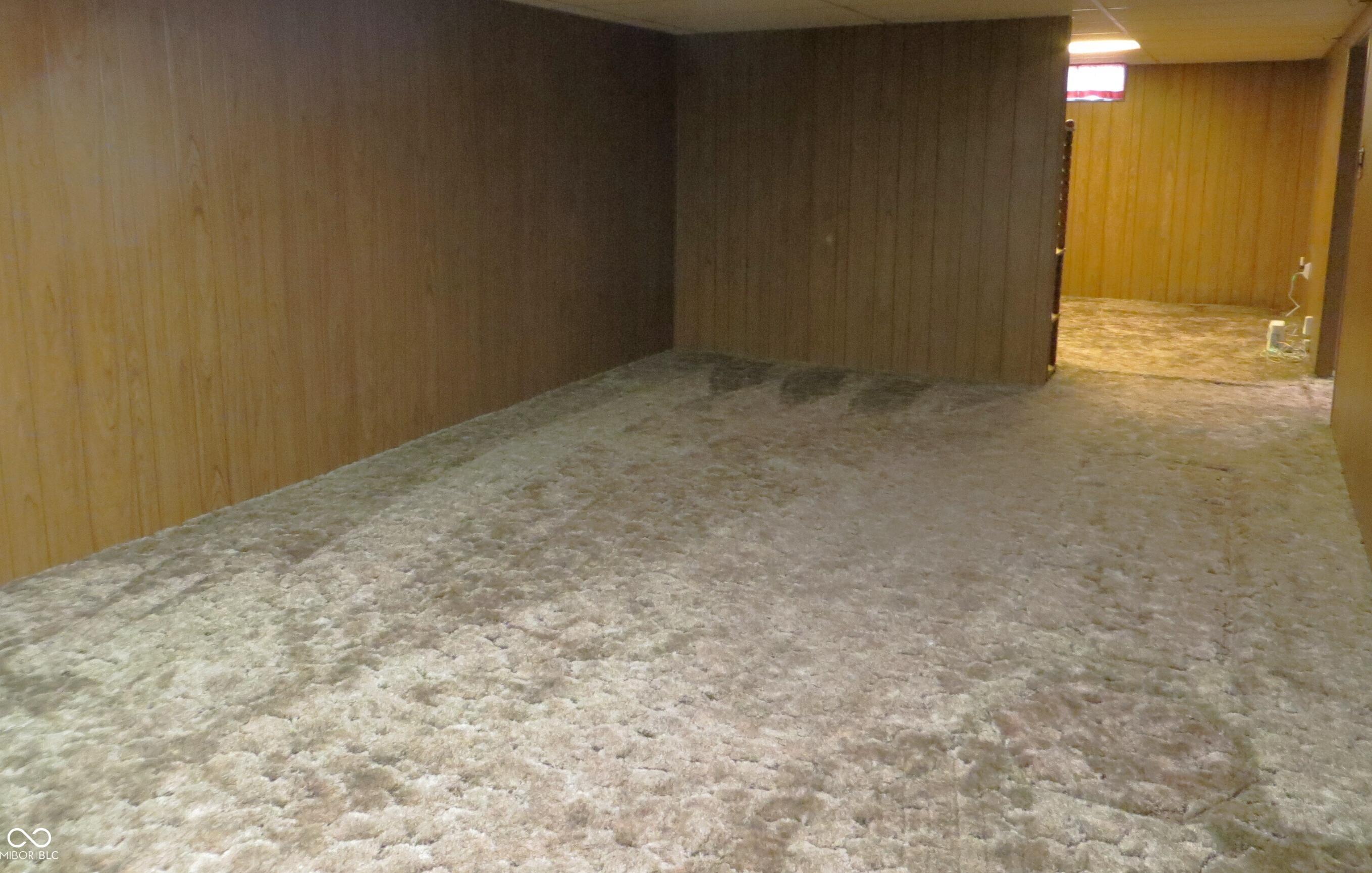 Photo #43