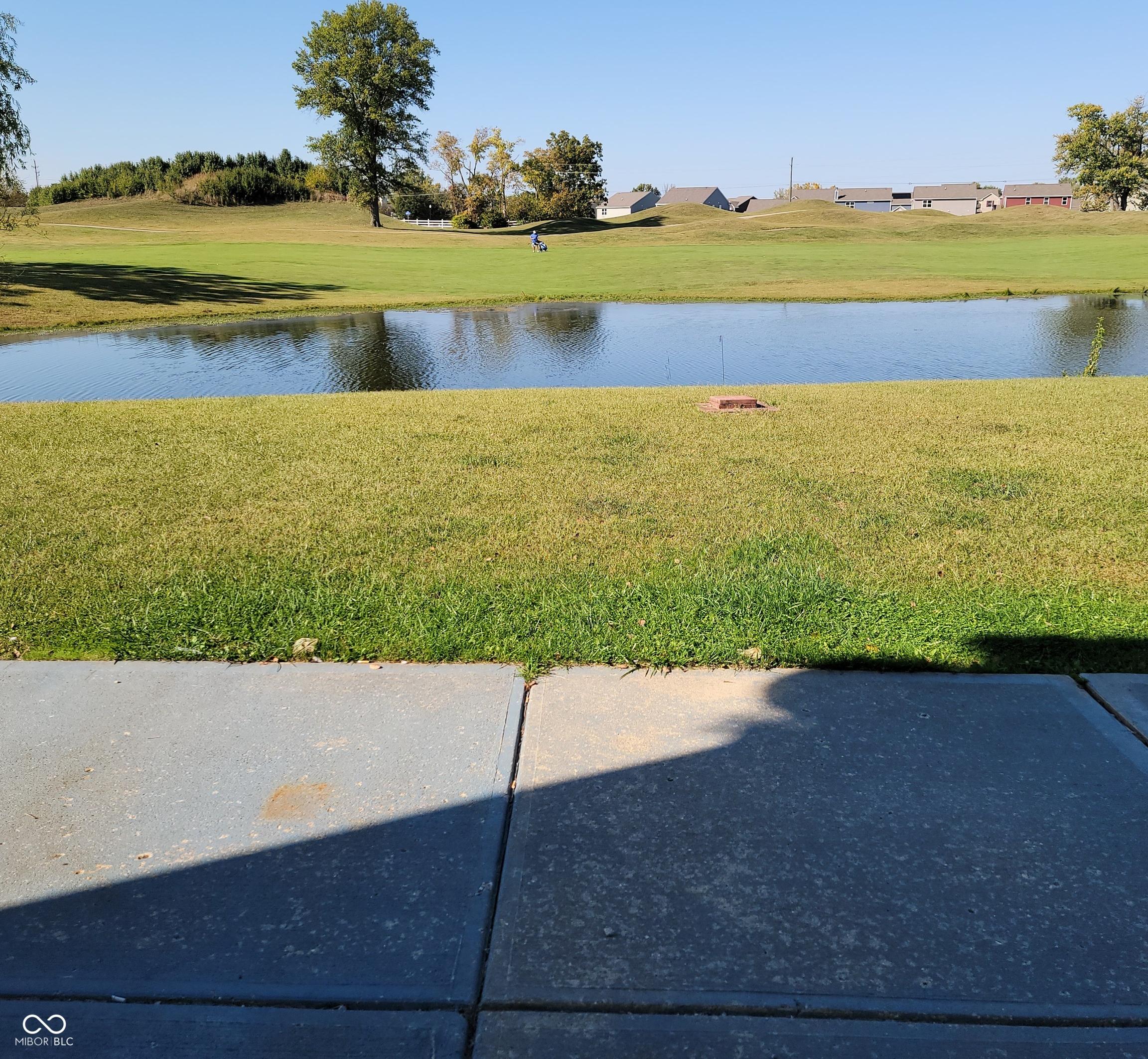 Photo #19