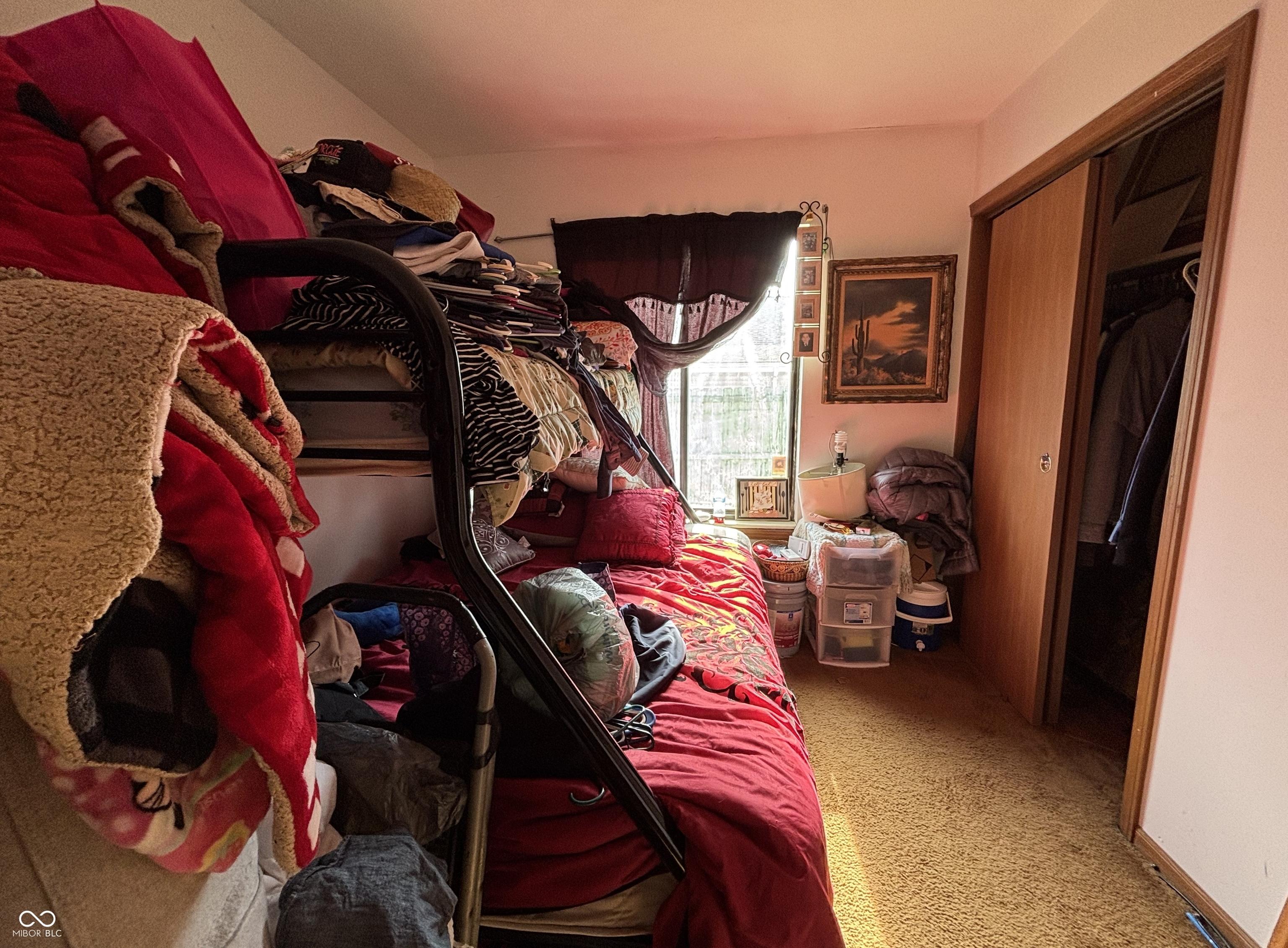 Photo #14