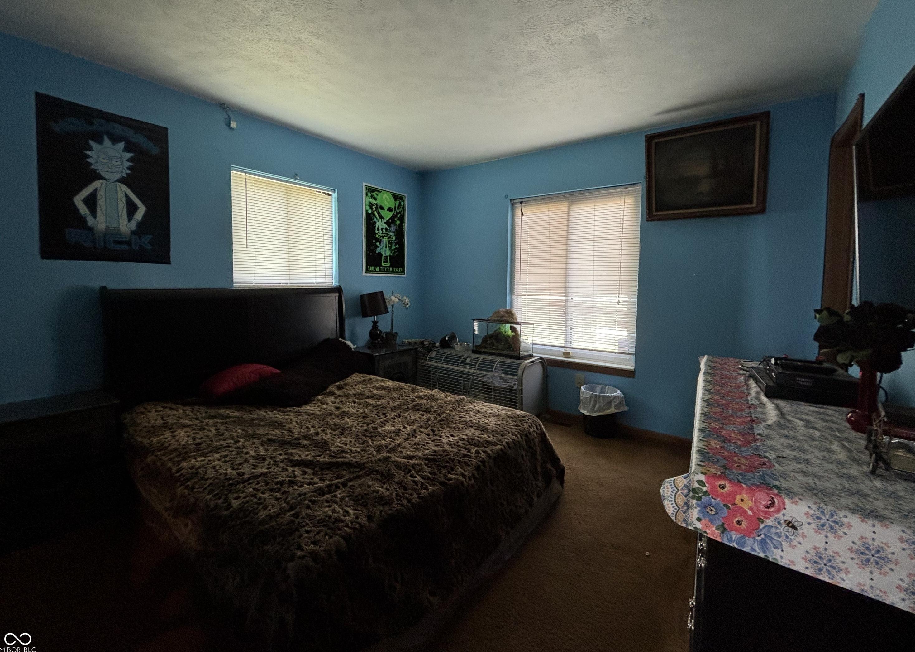 Photo #12