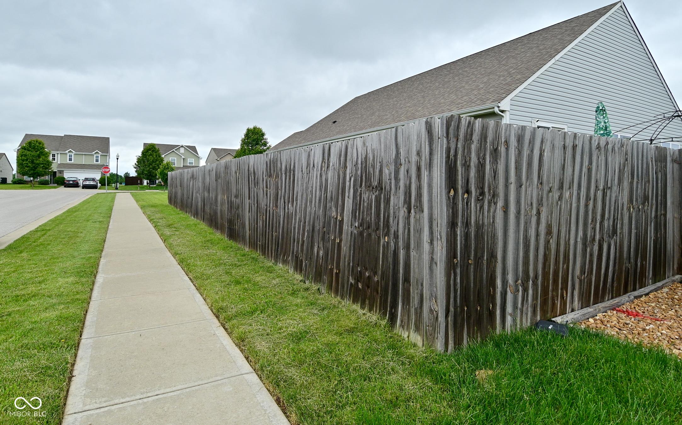 Photo #41