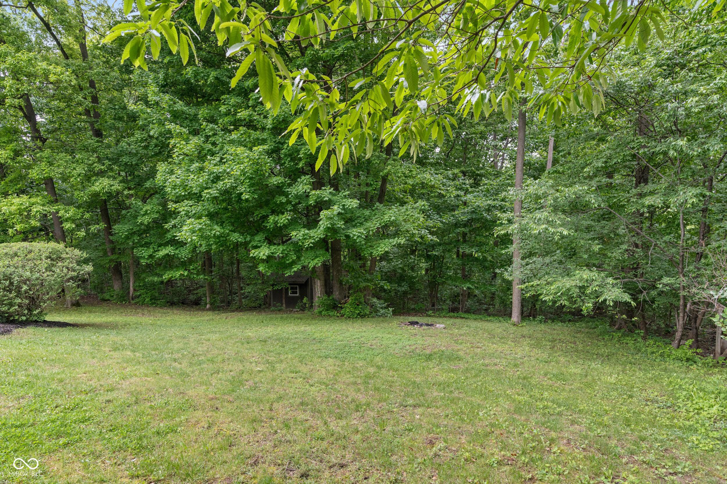 Photo #38