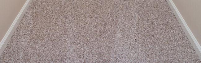 Photo #34