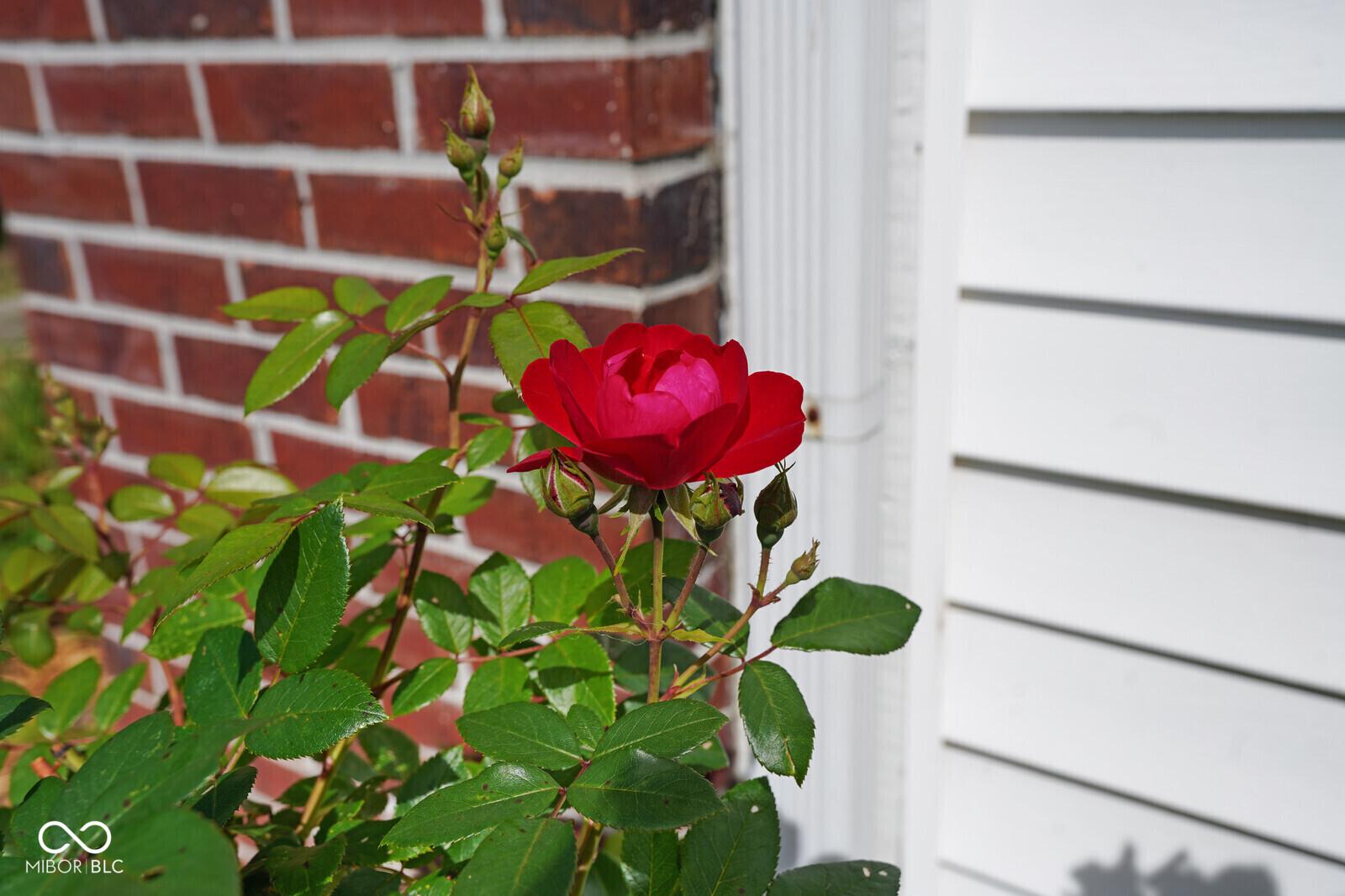 Photo #48