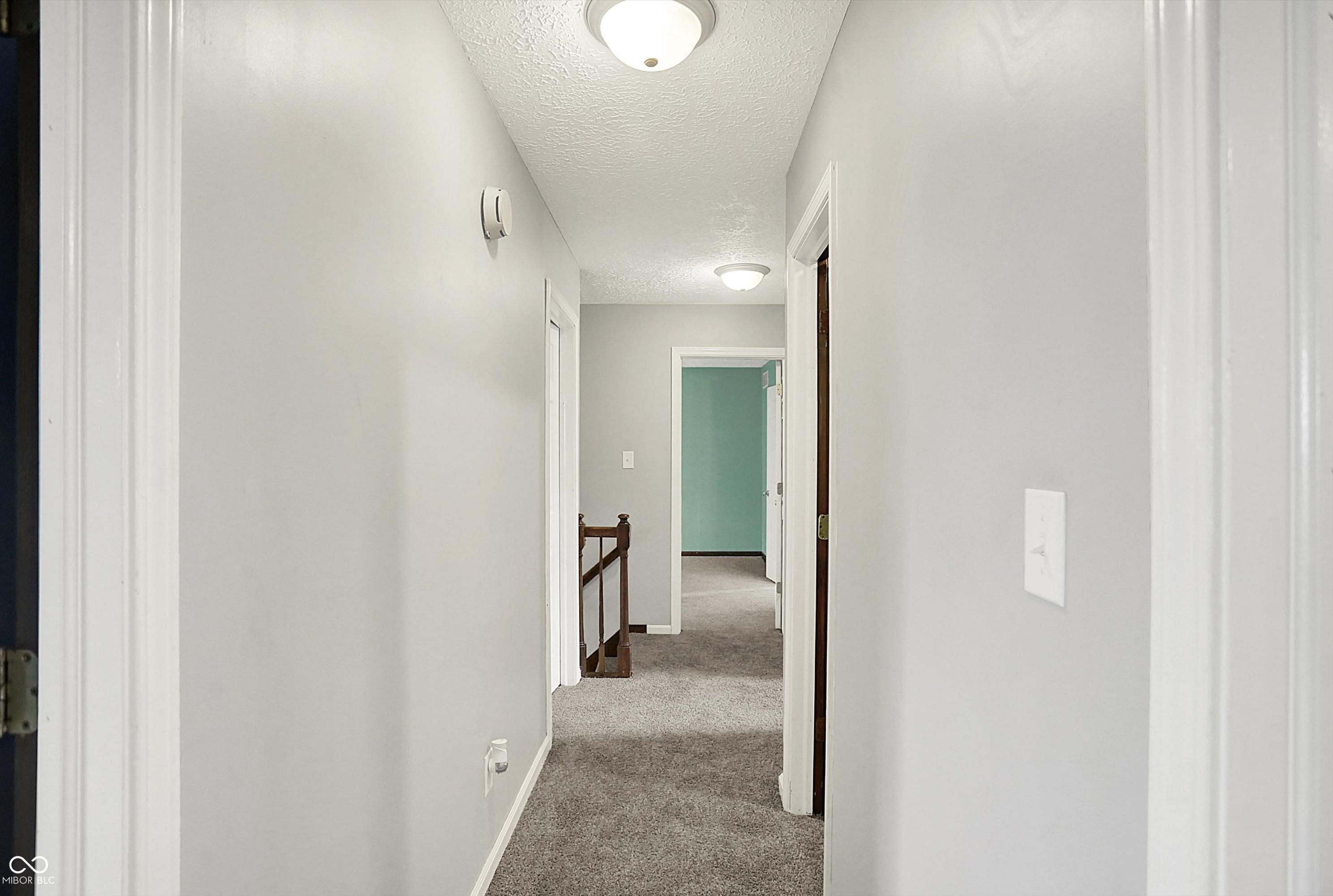 Photo #43
