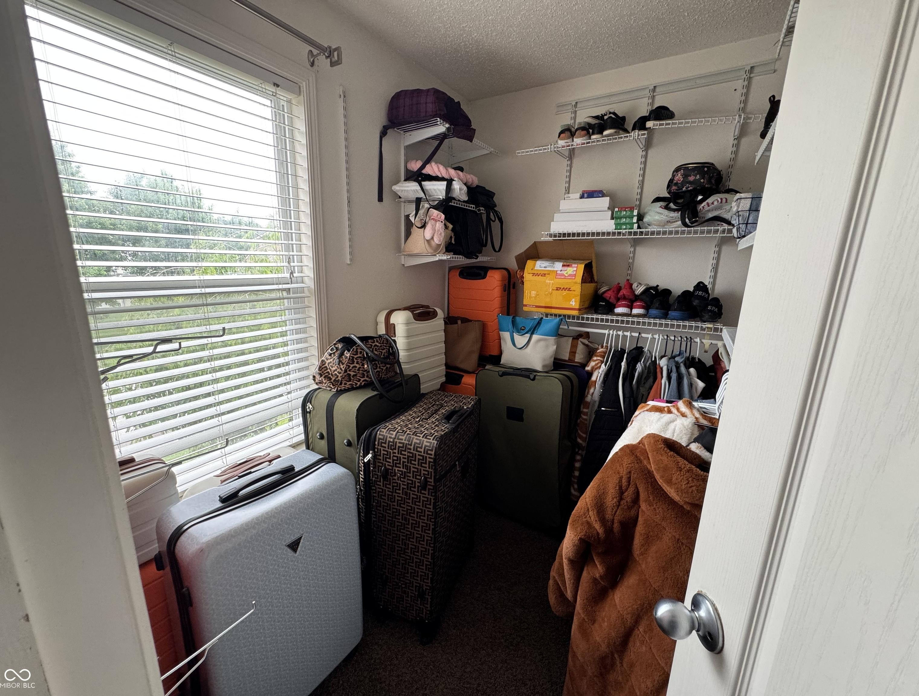 Photo #29