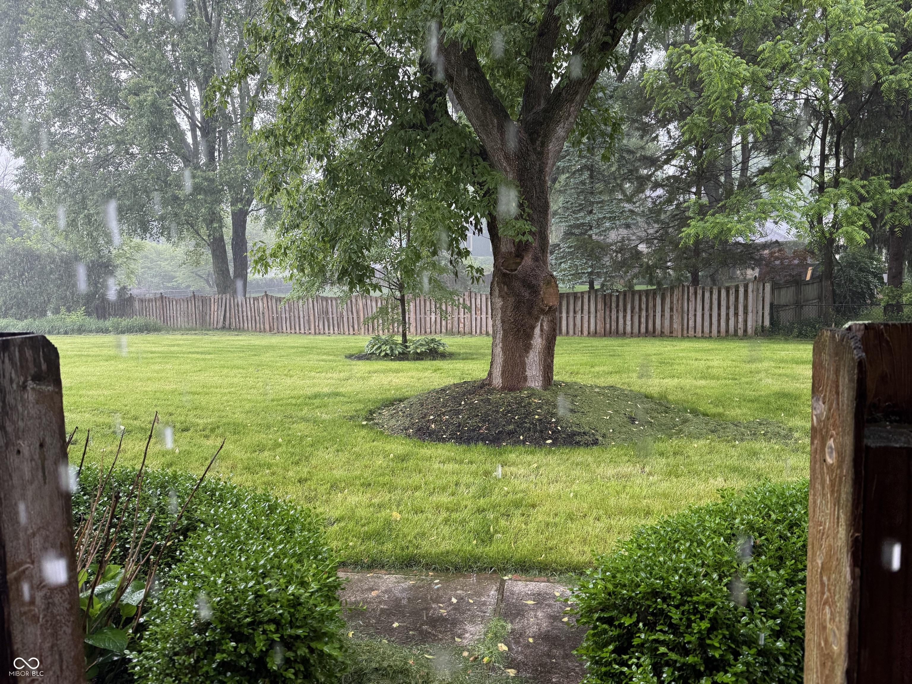 Photo #37
