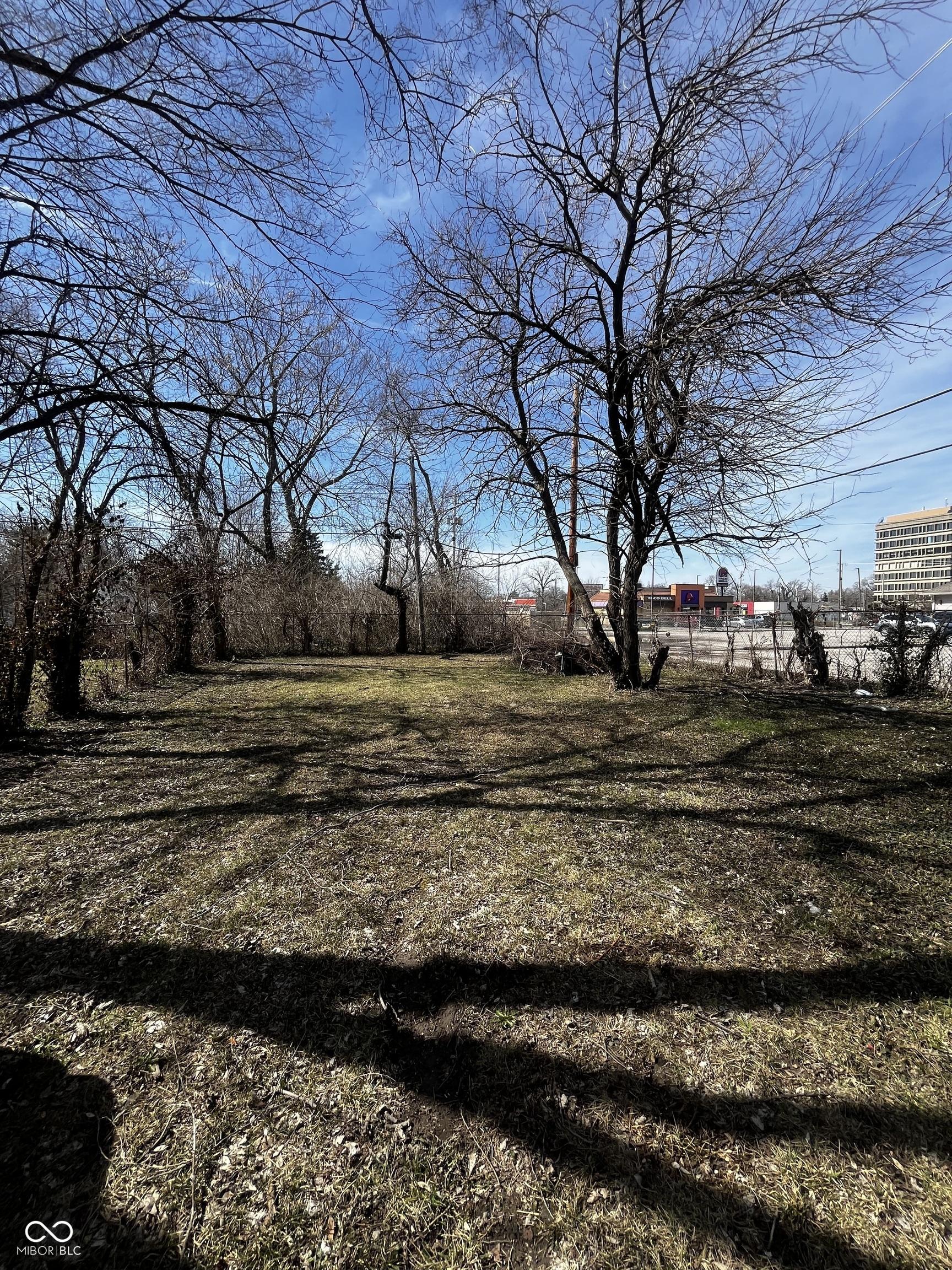 Photo #18
