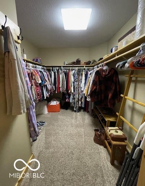 Photo #42