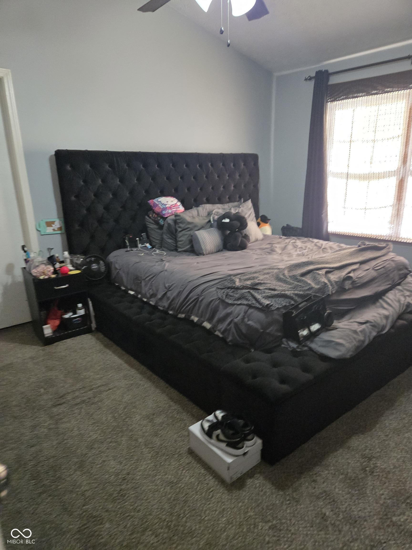 Photo #12