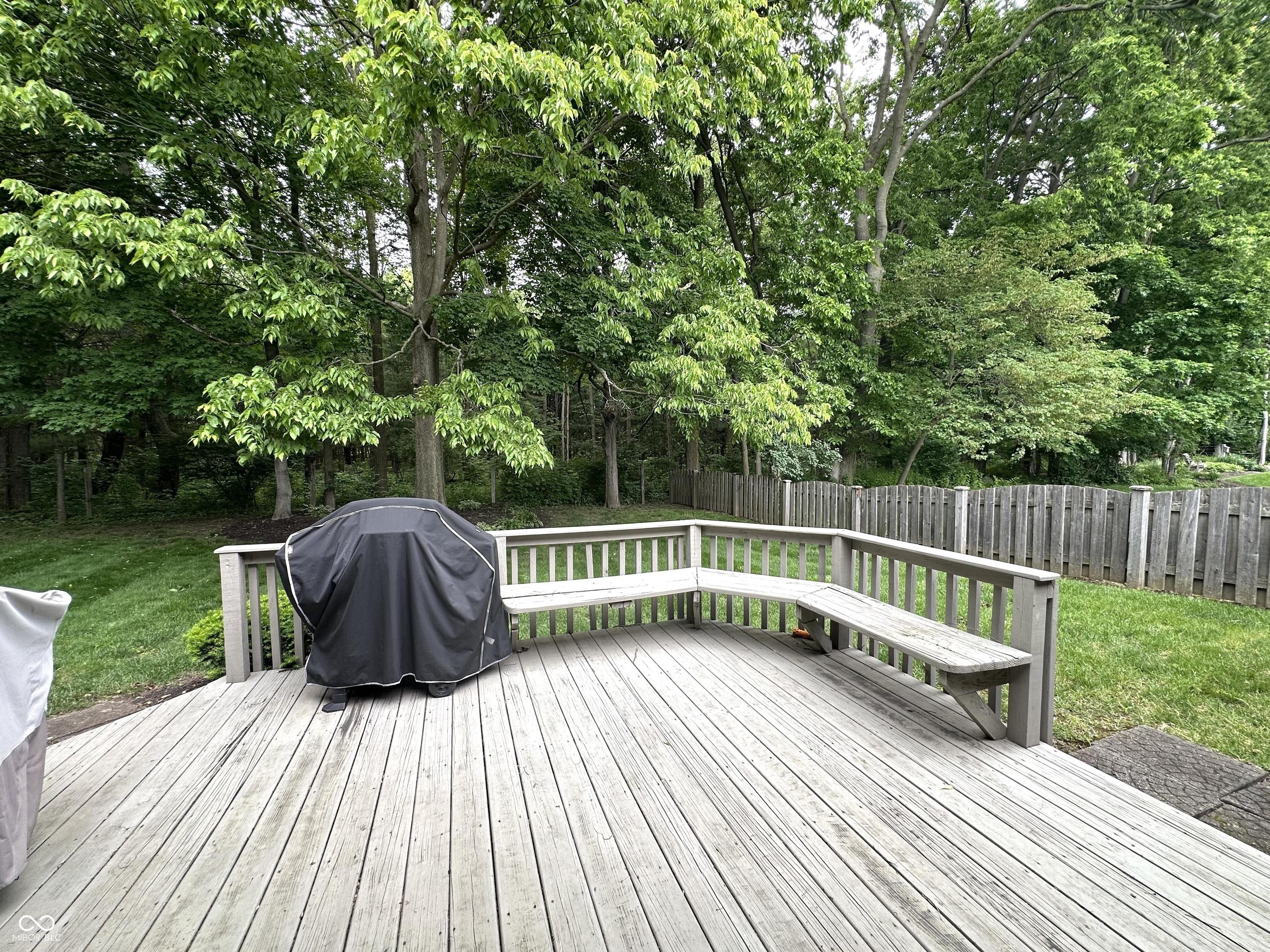 Photo #14