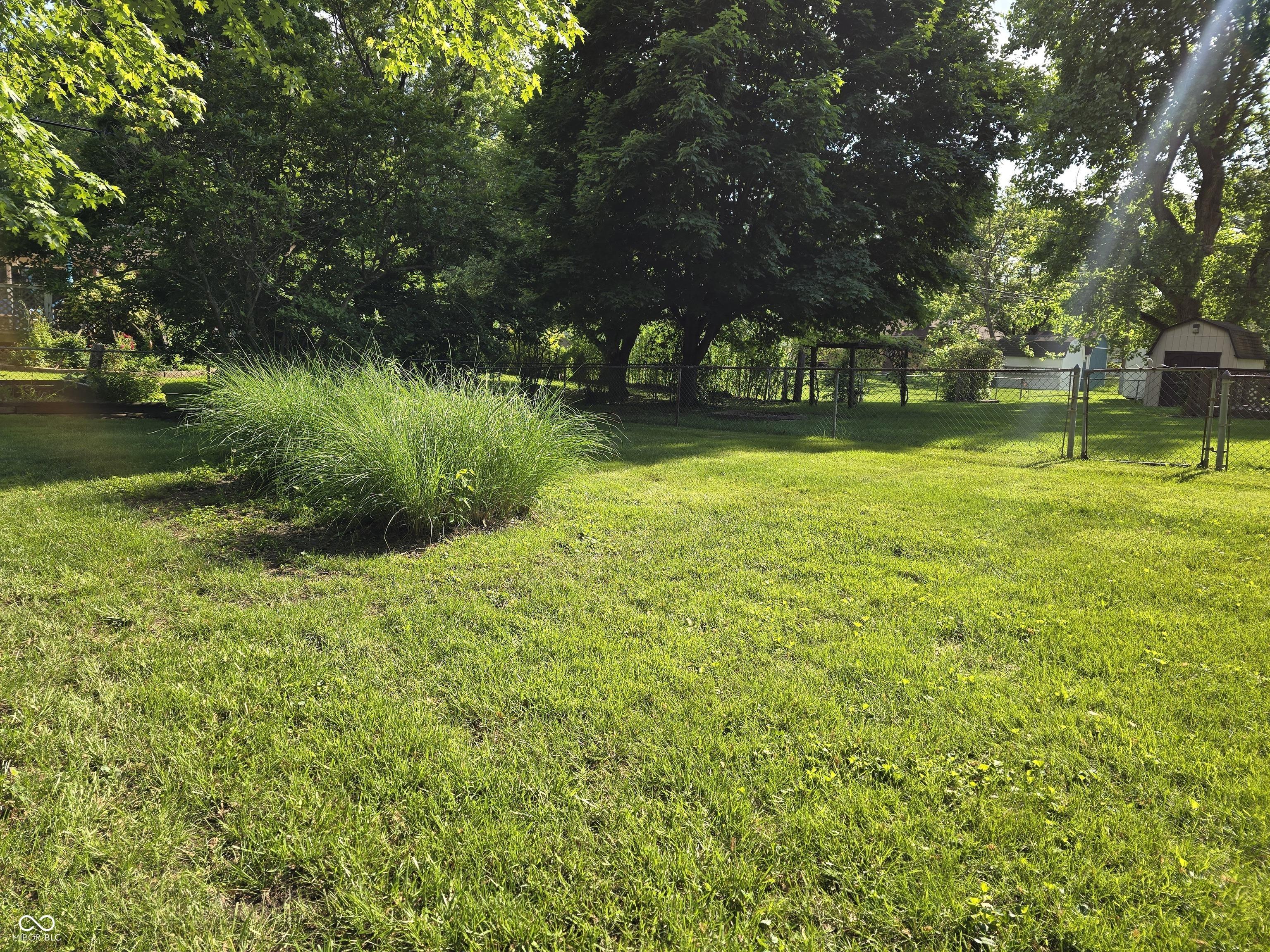 Photo #35