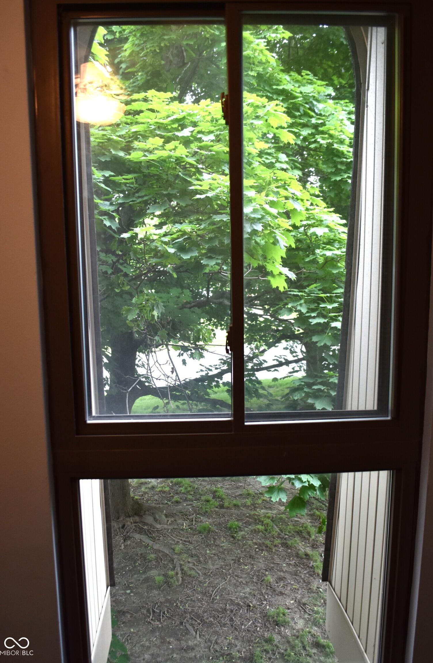 Photo #34