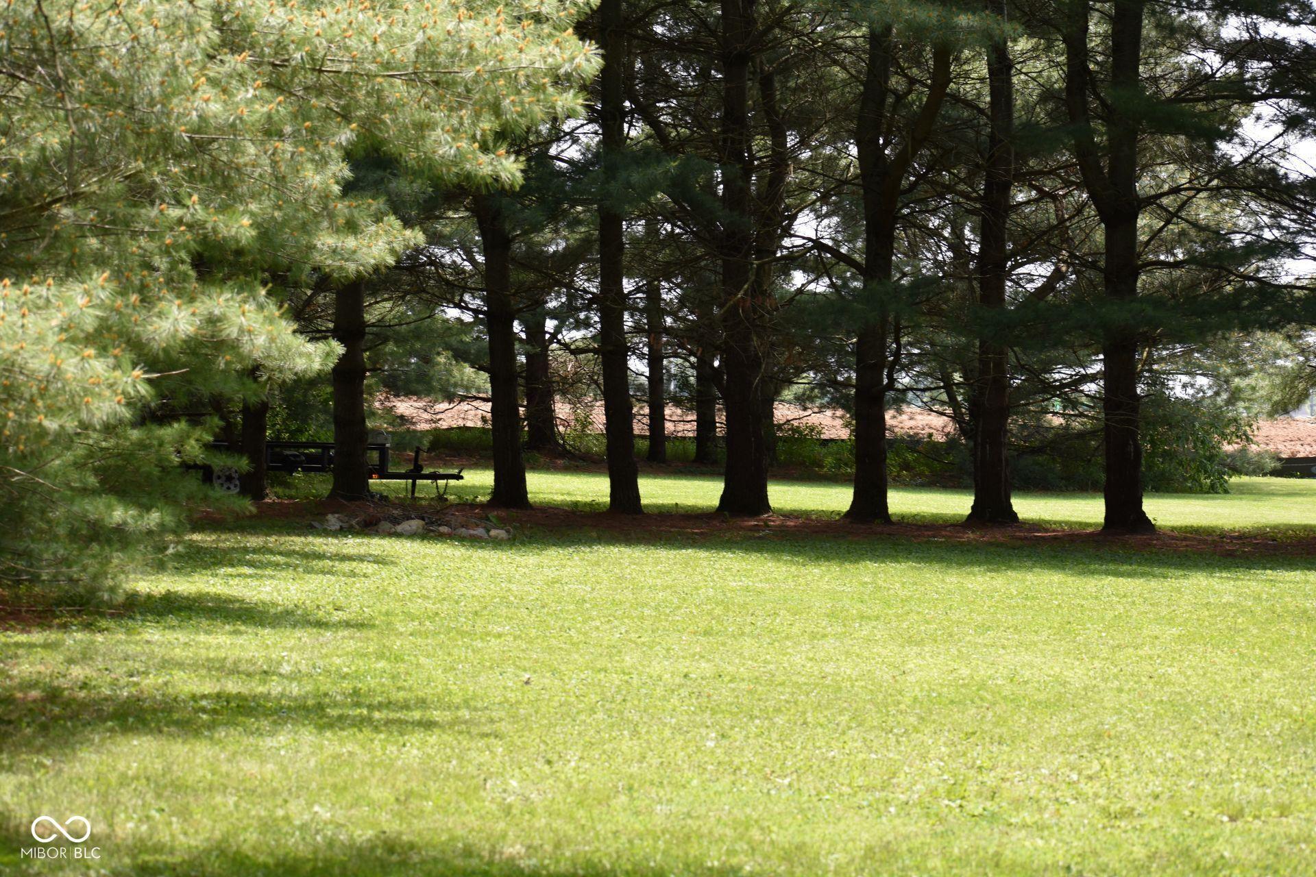 Photo #17