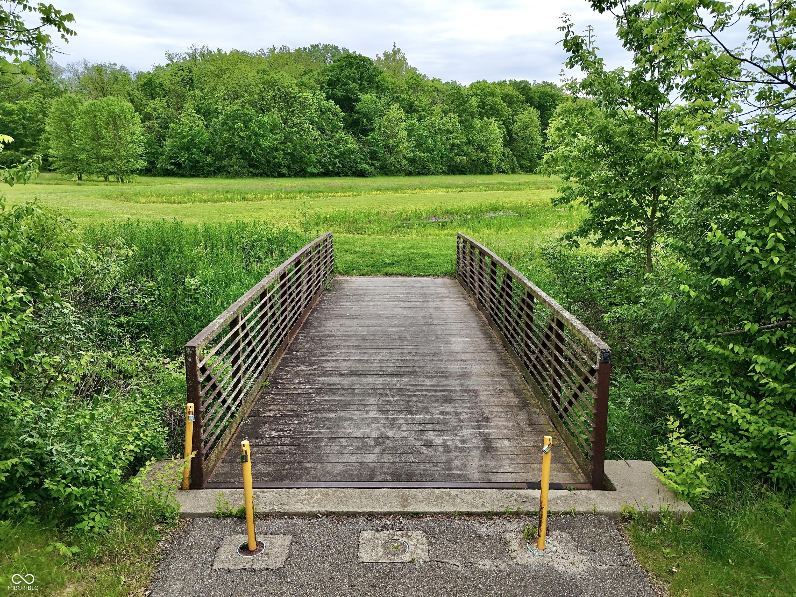 Photo #46