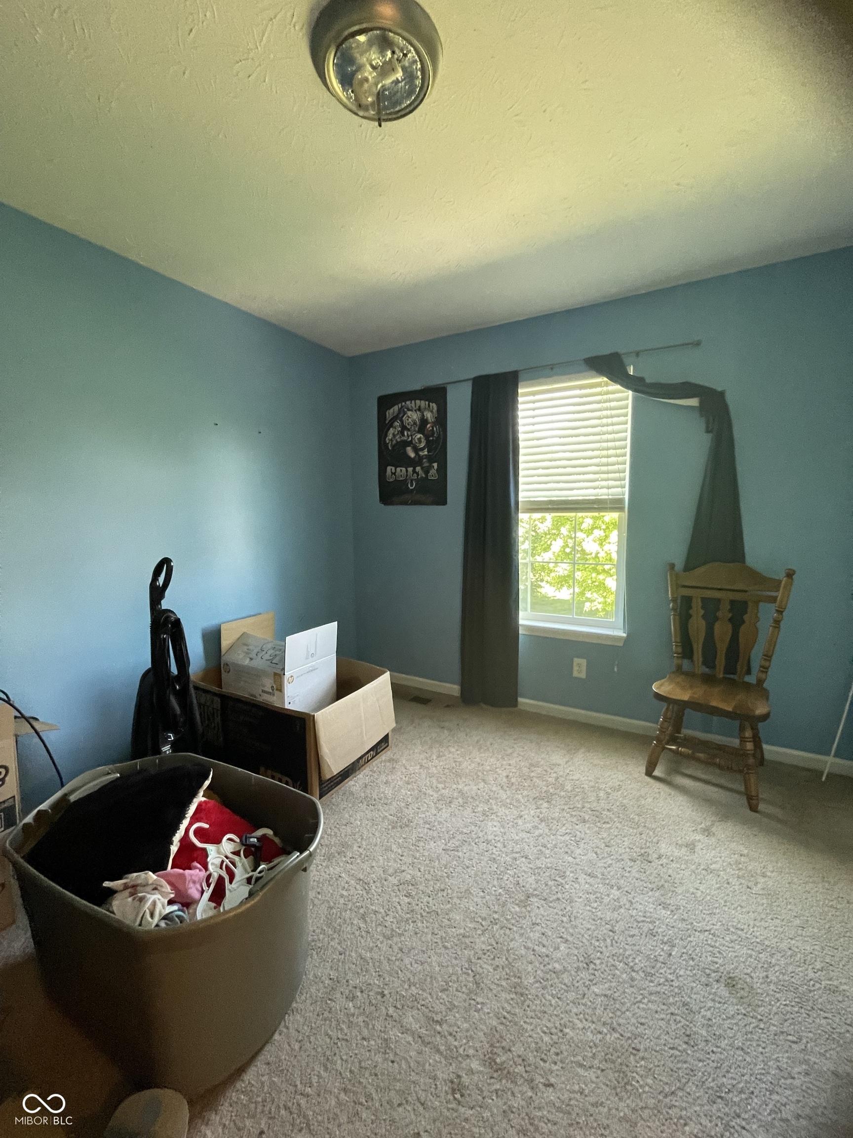 Photo #19