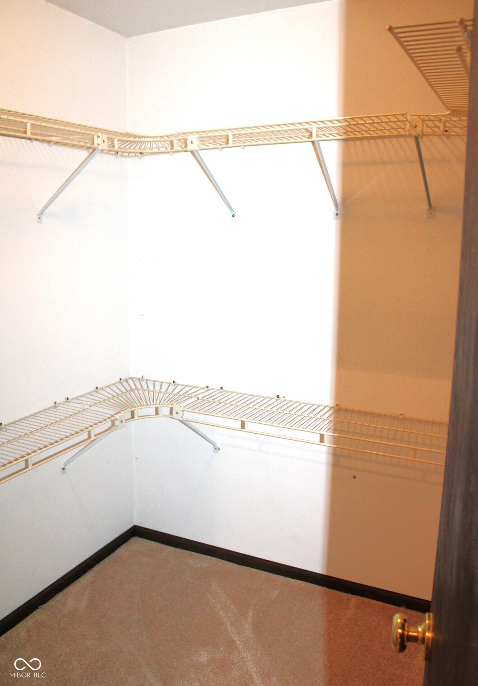 Photo #12