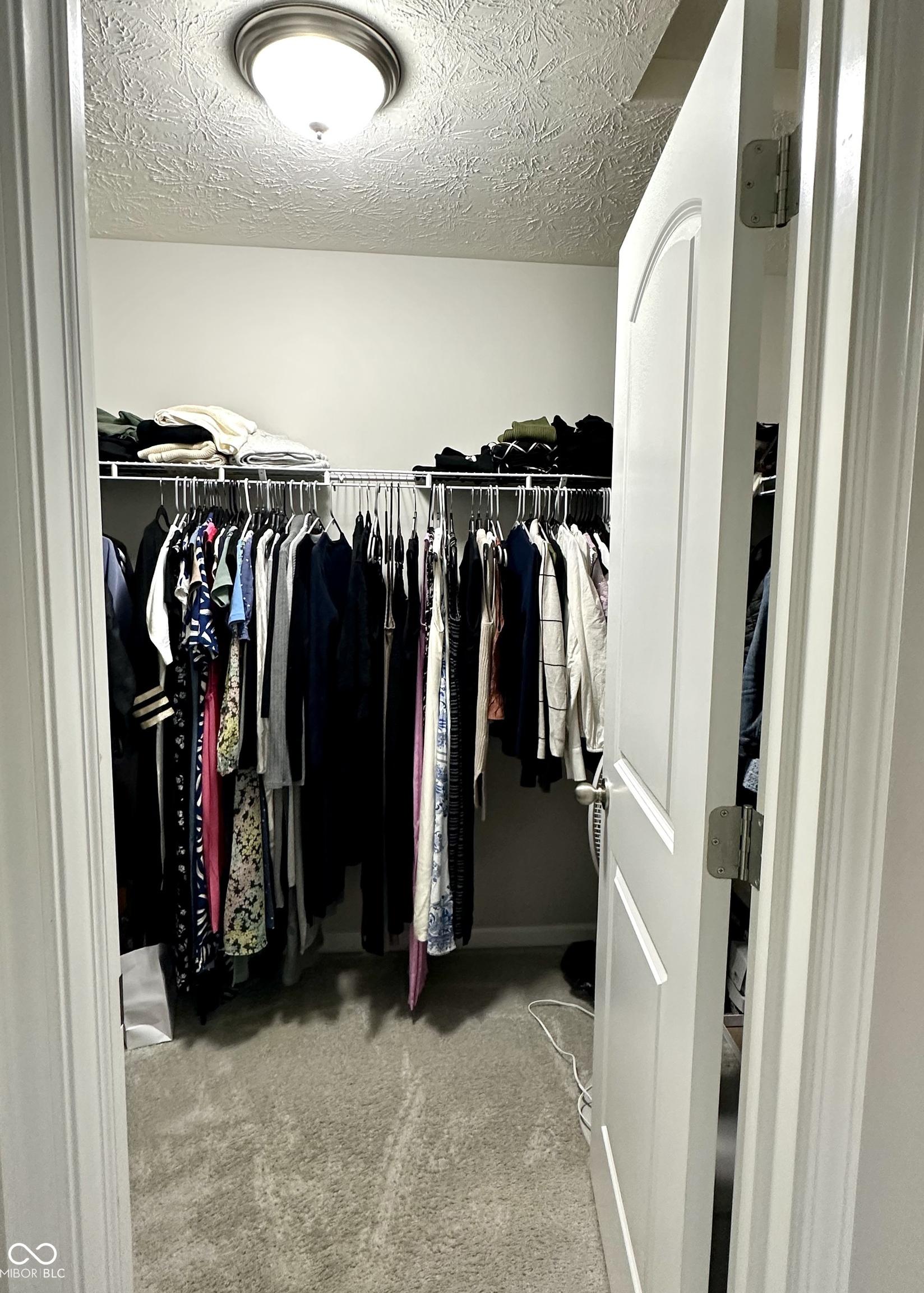 Photo #29