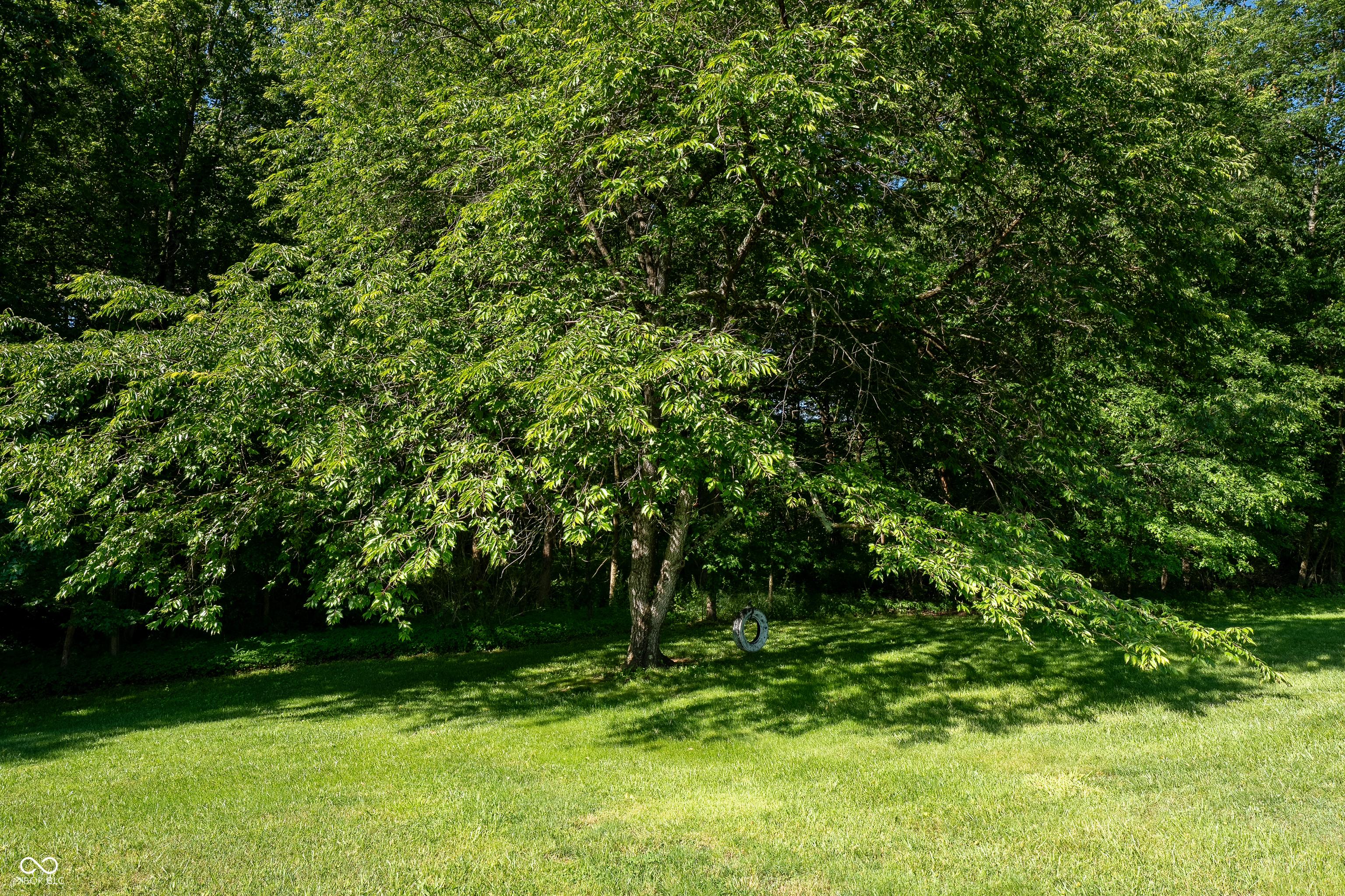 Photo #47