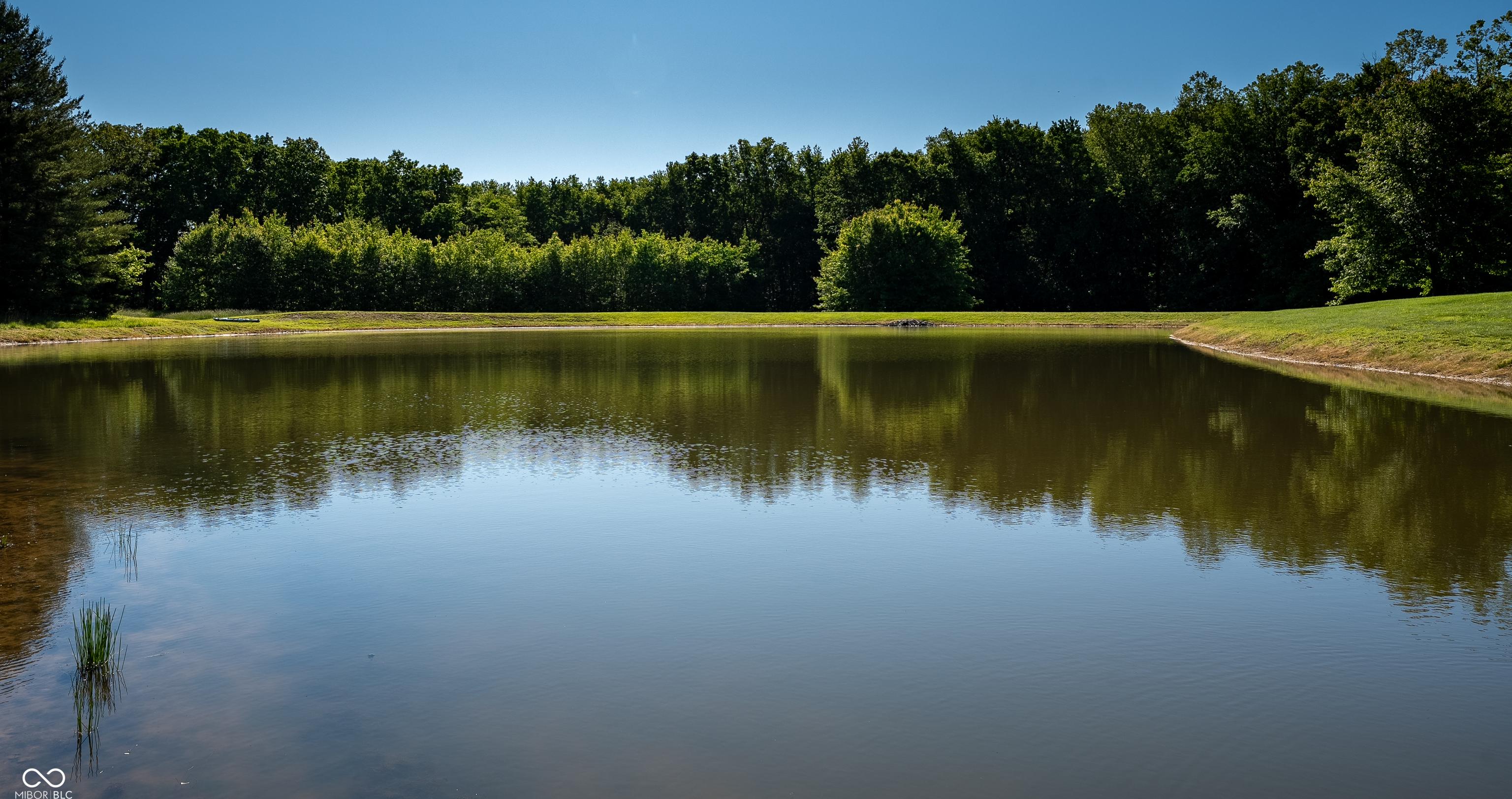 Photo #60
