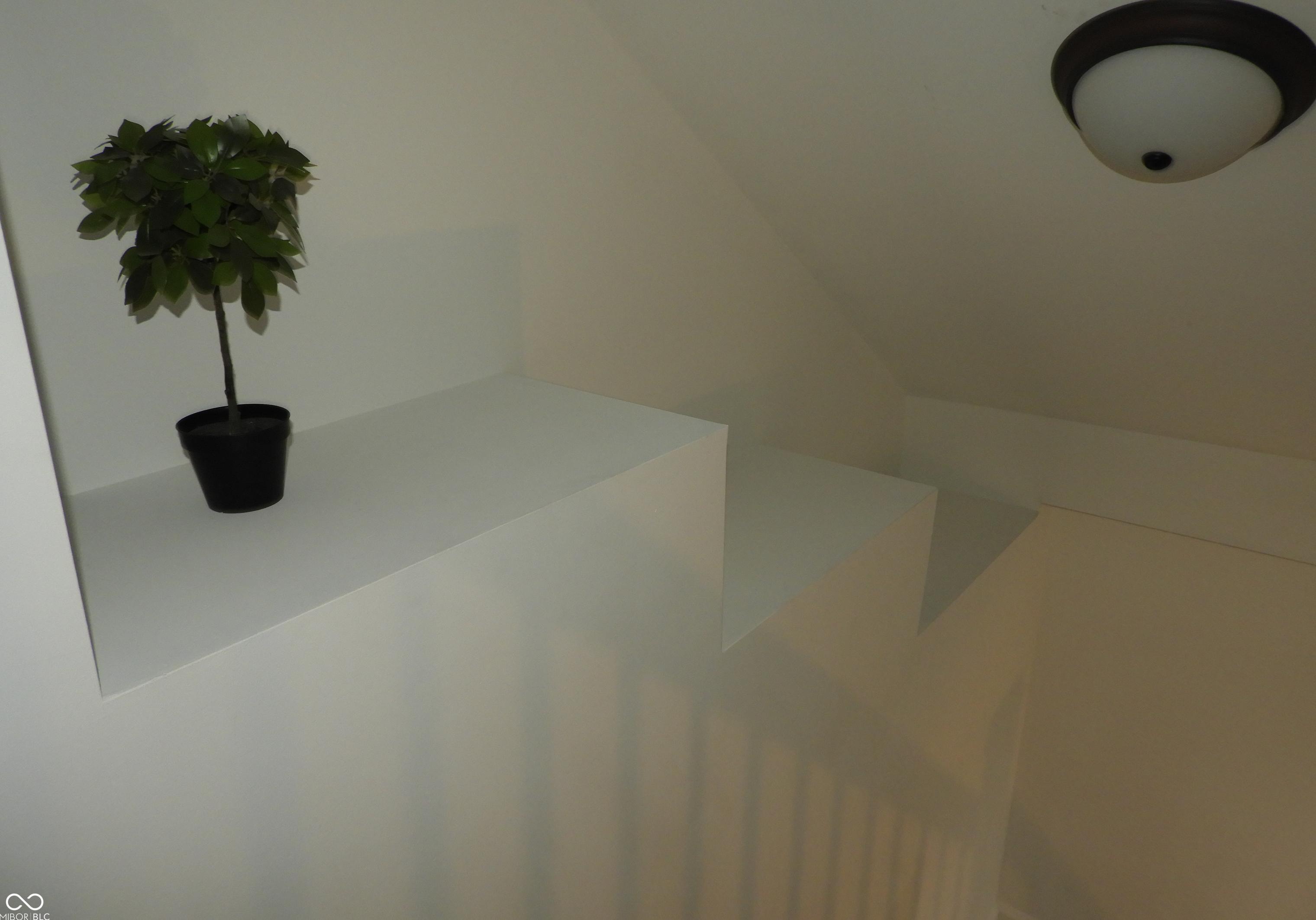 Photo #17